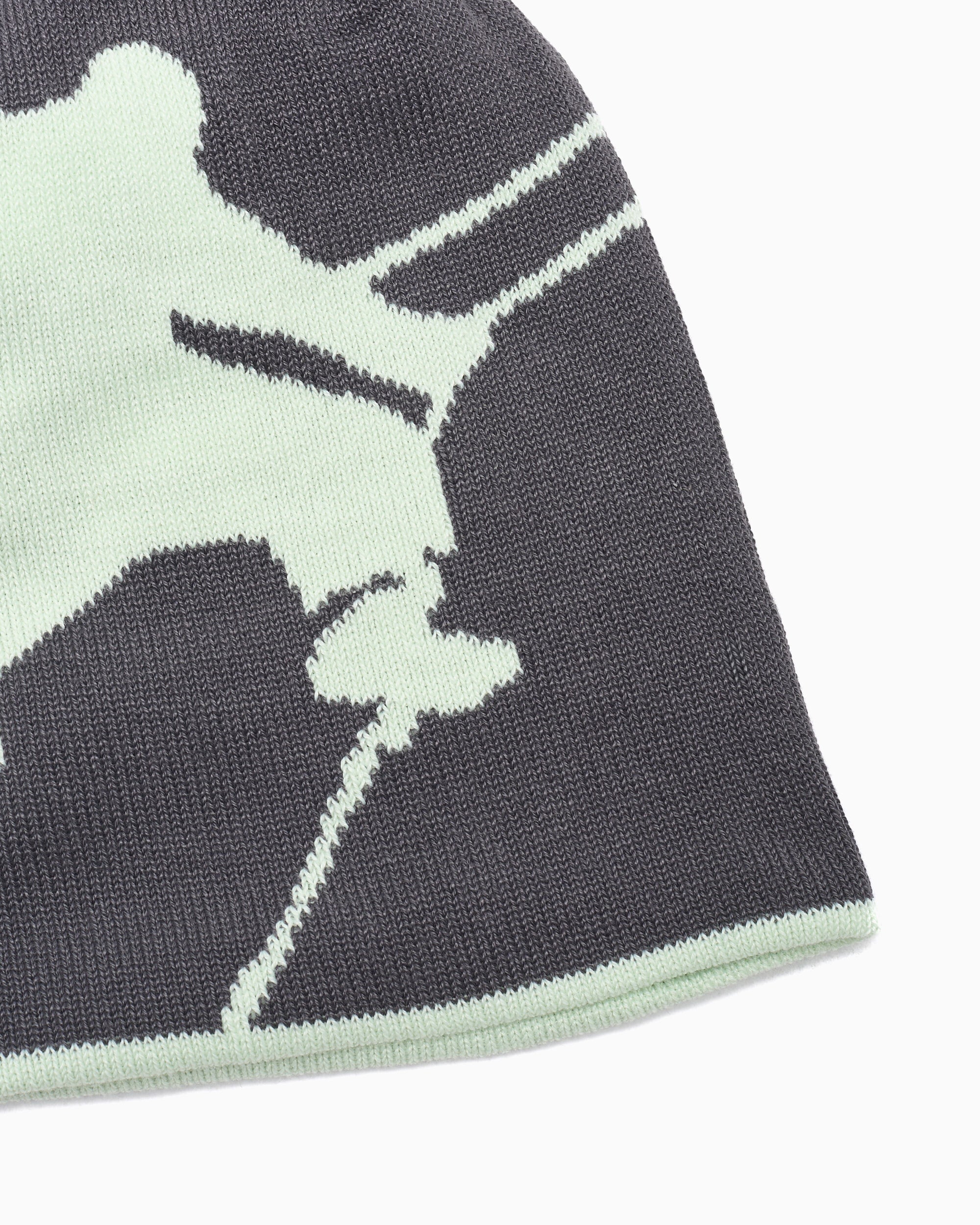 Beanies & Hats The North Face Highline Reversible Unisex Beanie - NF0A7WLAWP71