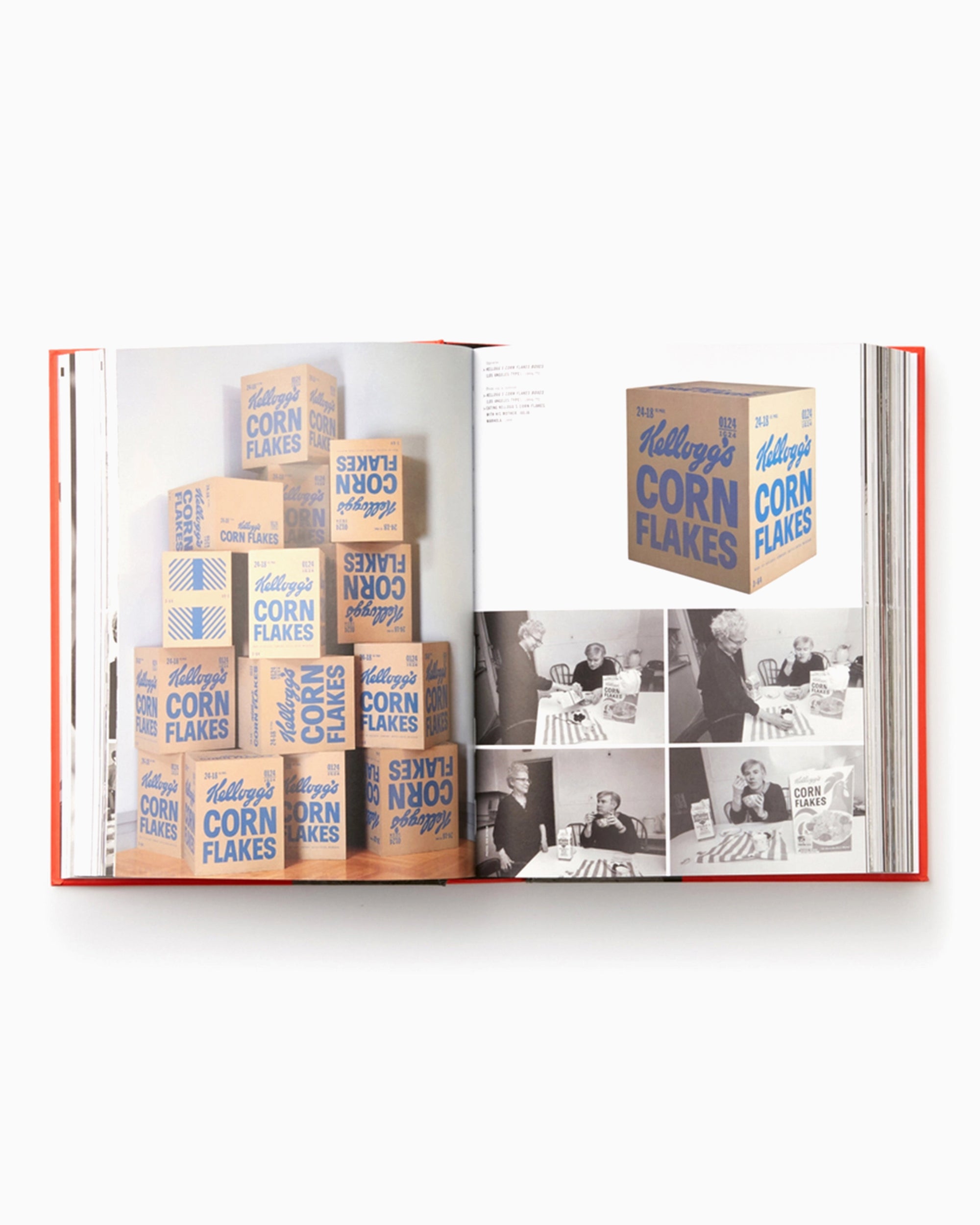 Books Magazines Andy Warhol "Giant" Size Phaidon Editors By Dave Hickey - 9780714863733
