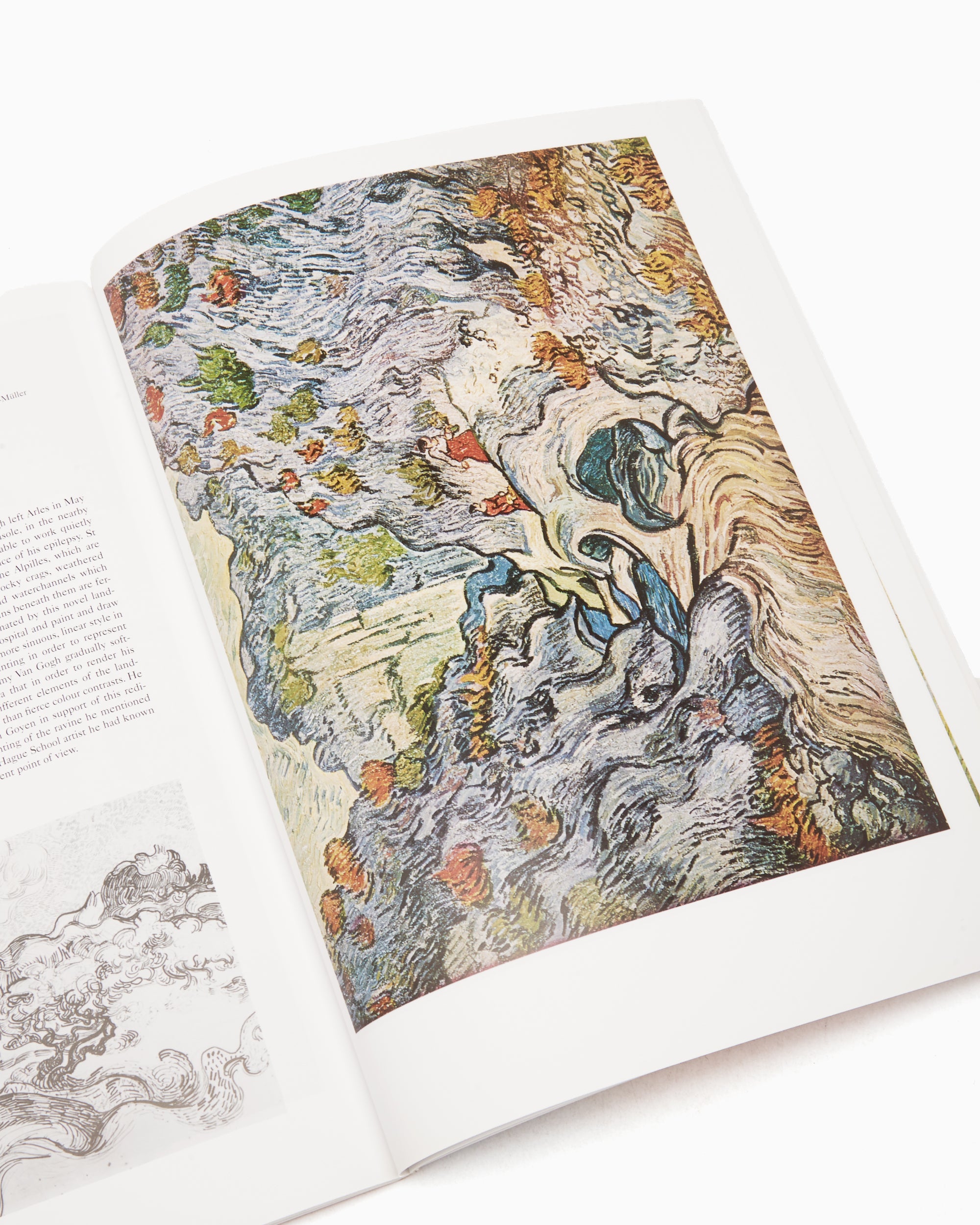 Books Magazines Phaidon Van Gogh: Colour Library By Wilhelm Uhde - 9780714827247