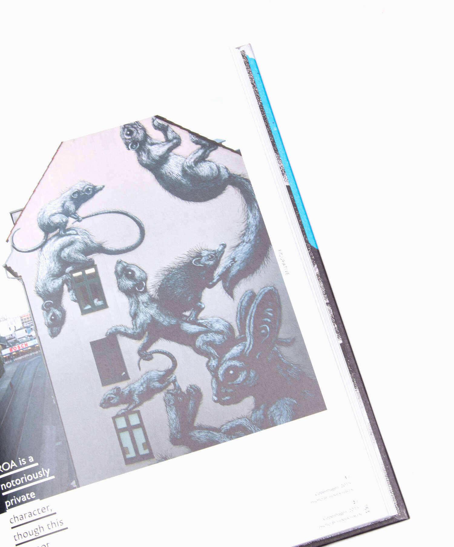 Books Magazines Rizzoli Street Art Today: The 50 Most Influential Street Artists Today Book - 9789401426978