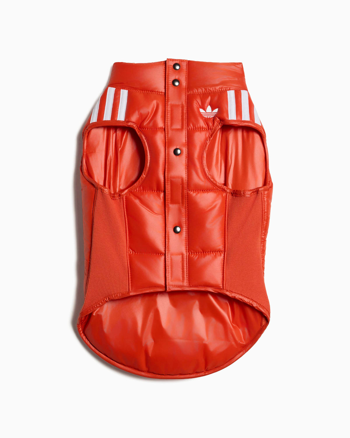 Outdoor accessories adidas Originals Padded Vest For Pets - LI2592