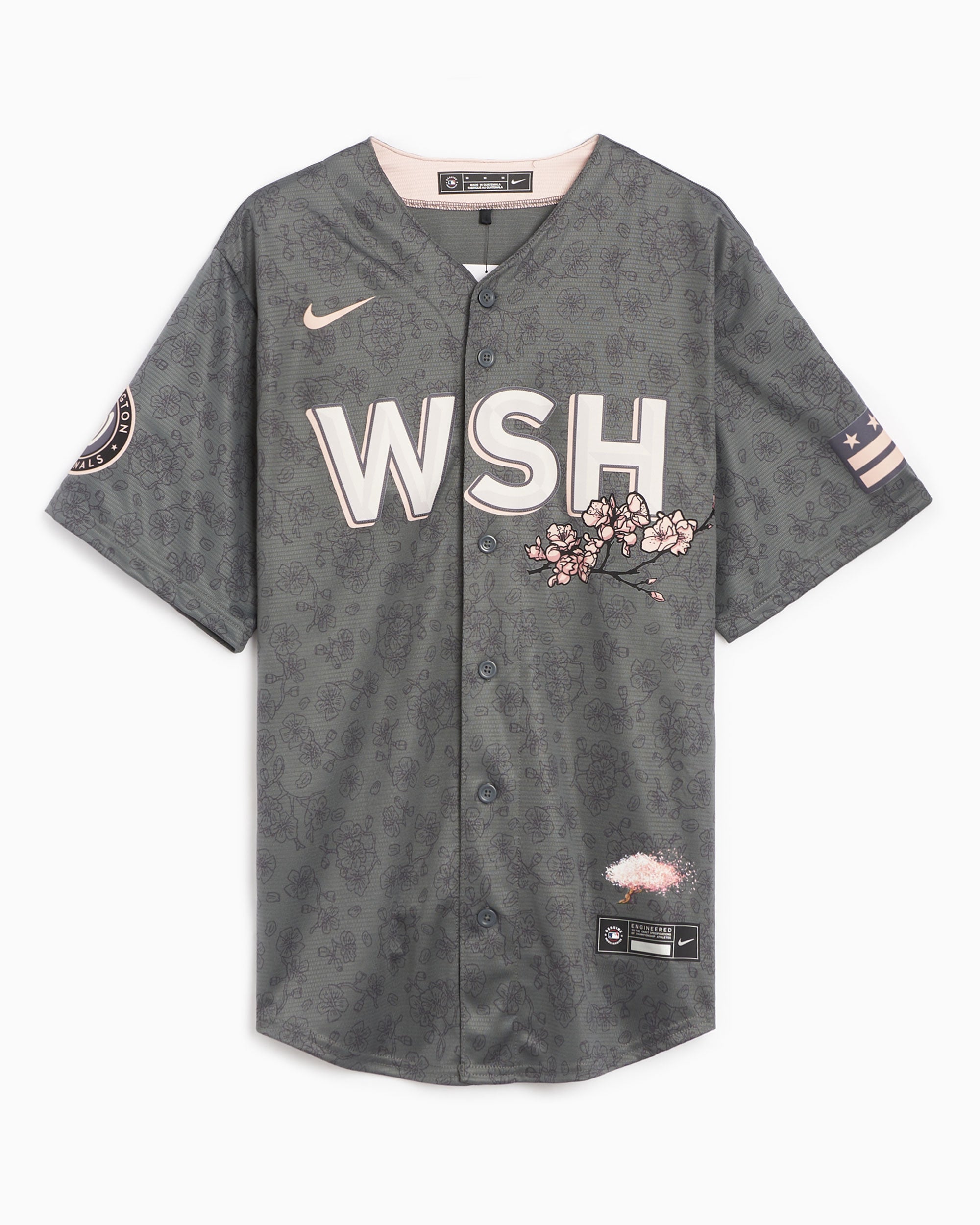 Nike MLB Washington Nationals City Connect Men's Short Sleeve Baseball