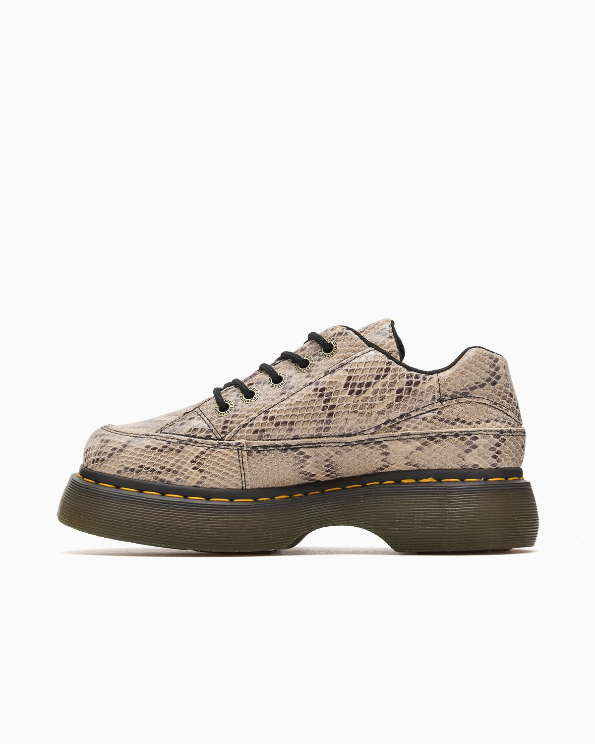 Shoes Dr. Martens Buzz 5i " Snake" Women's Shoes - 44038100