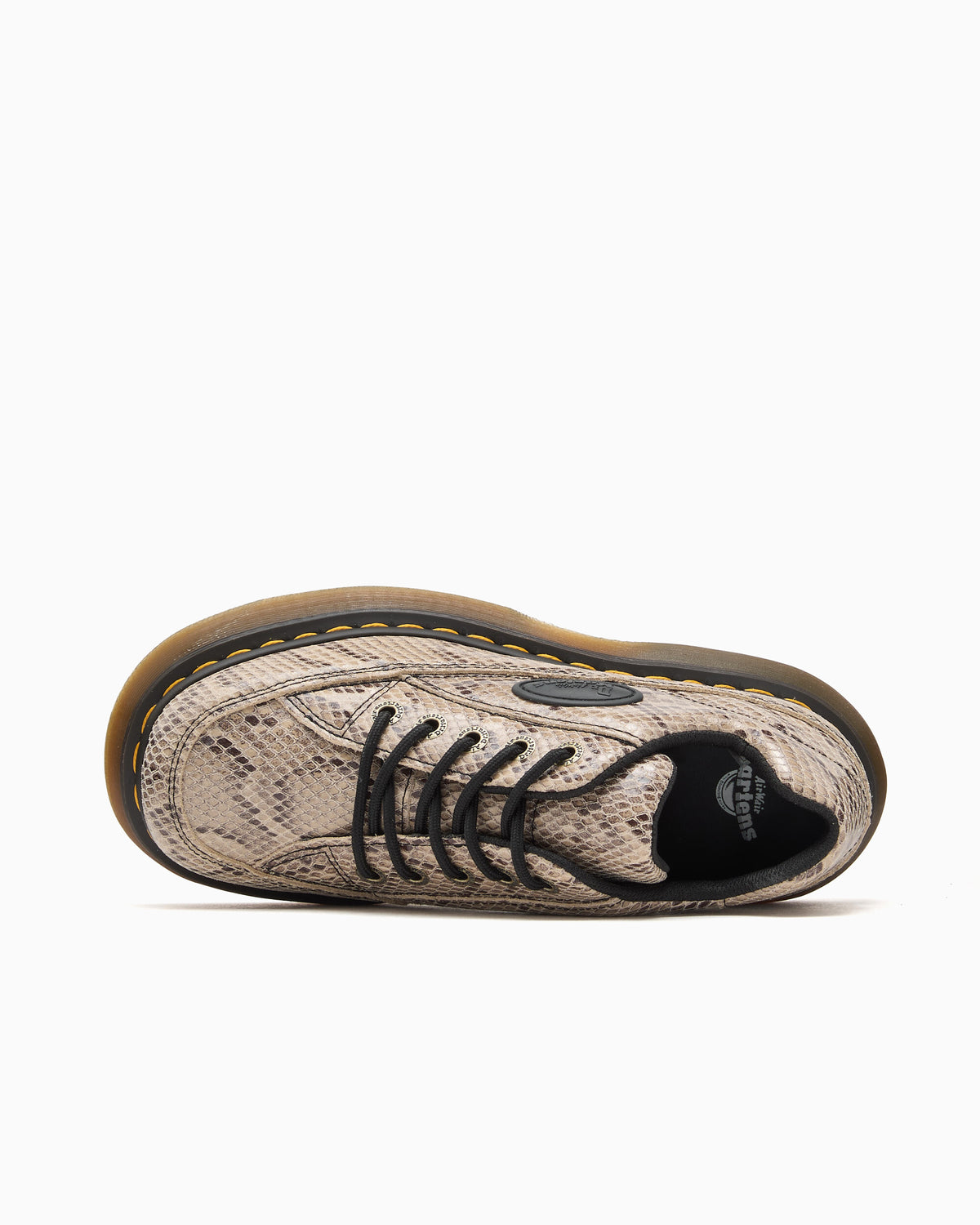 Shoes Dr. Martens Buzz 5i " Snake" Women's Shoes - 44038100