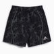 adidas Originals Adilenium Adilenium Teamgeist Men's Shorts
