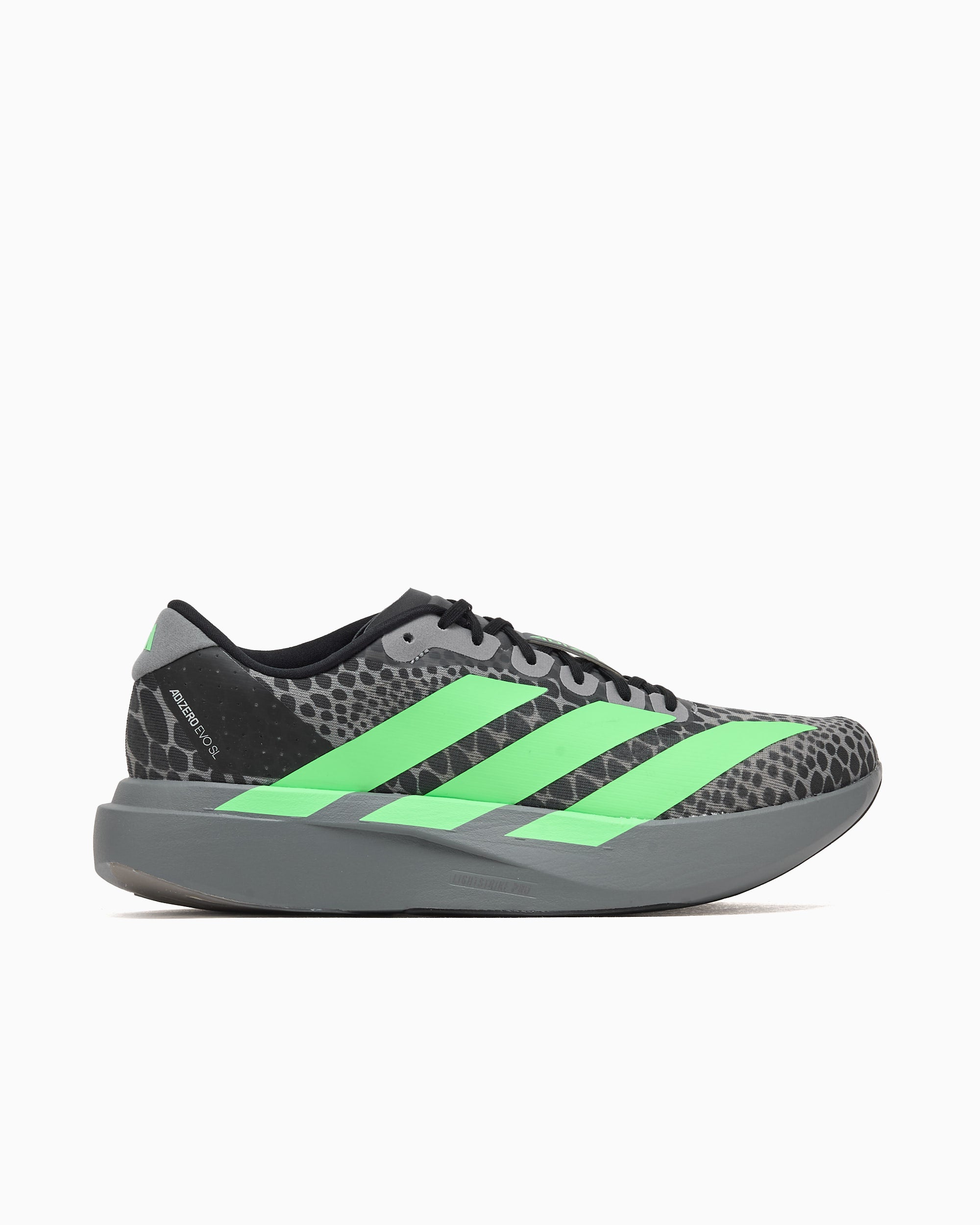 Sneakers adidas Performance Adizero Evo SL - JS2071