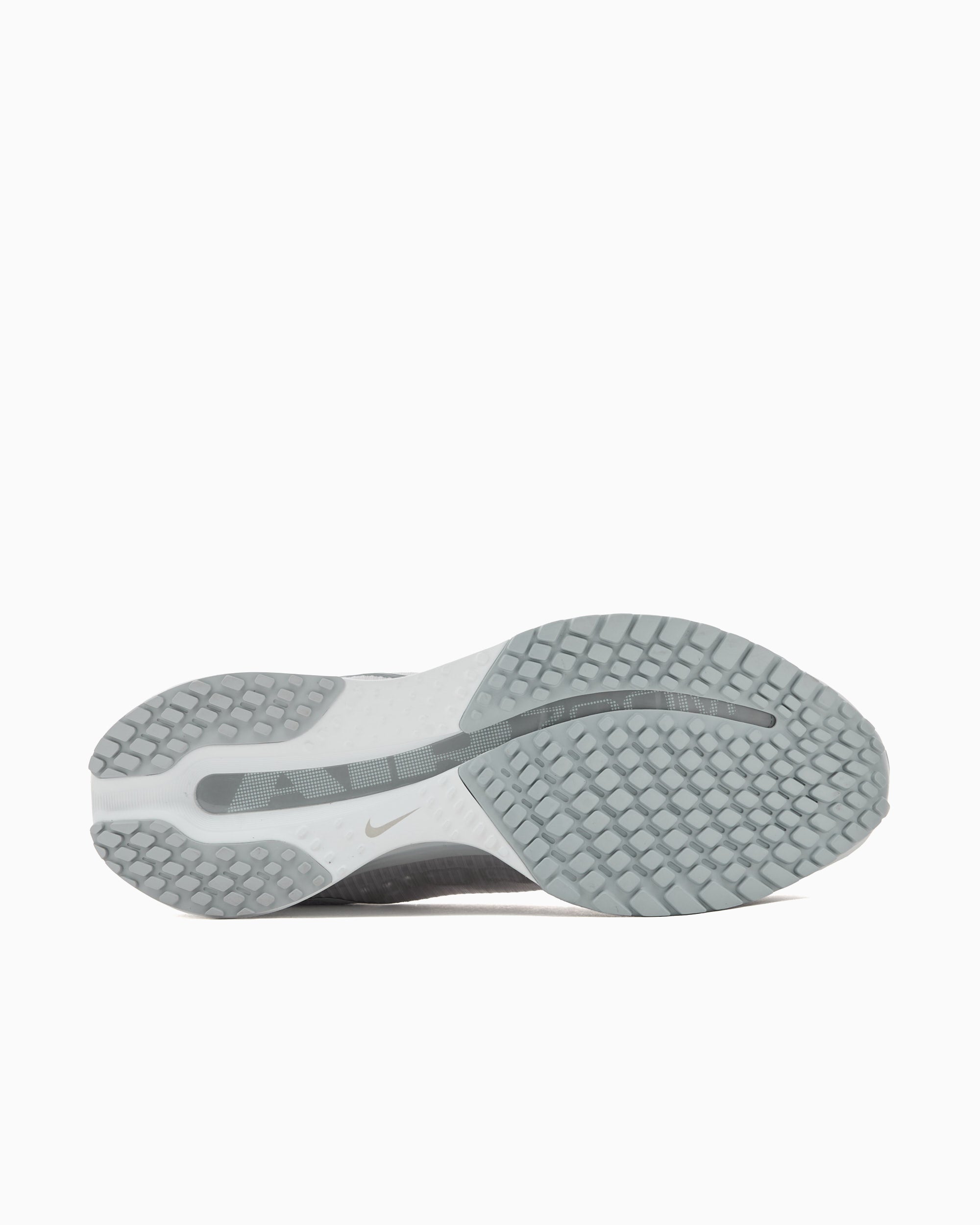 Sneakers Nike Pegasus Premium - HQ2592-007