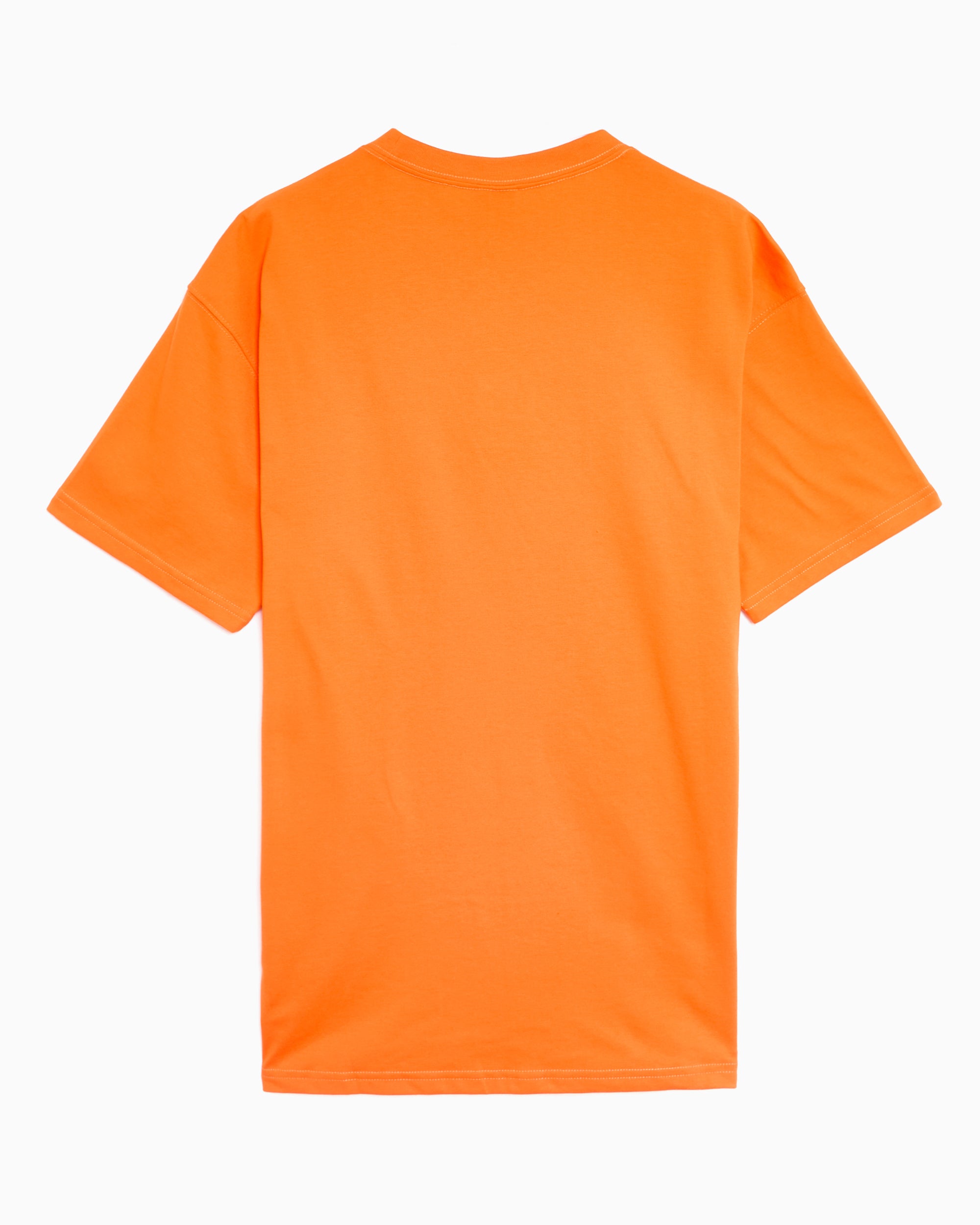 T-Shirts Nike ACG Logo Relaxed Men's T-Shirt - DC5356-819
