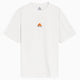 Nike ACG Nike ACG Men's T-Shirt Men's T-Shirt