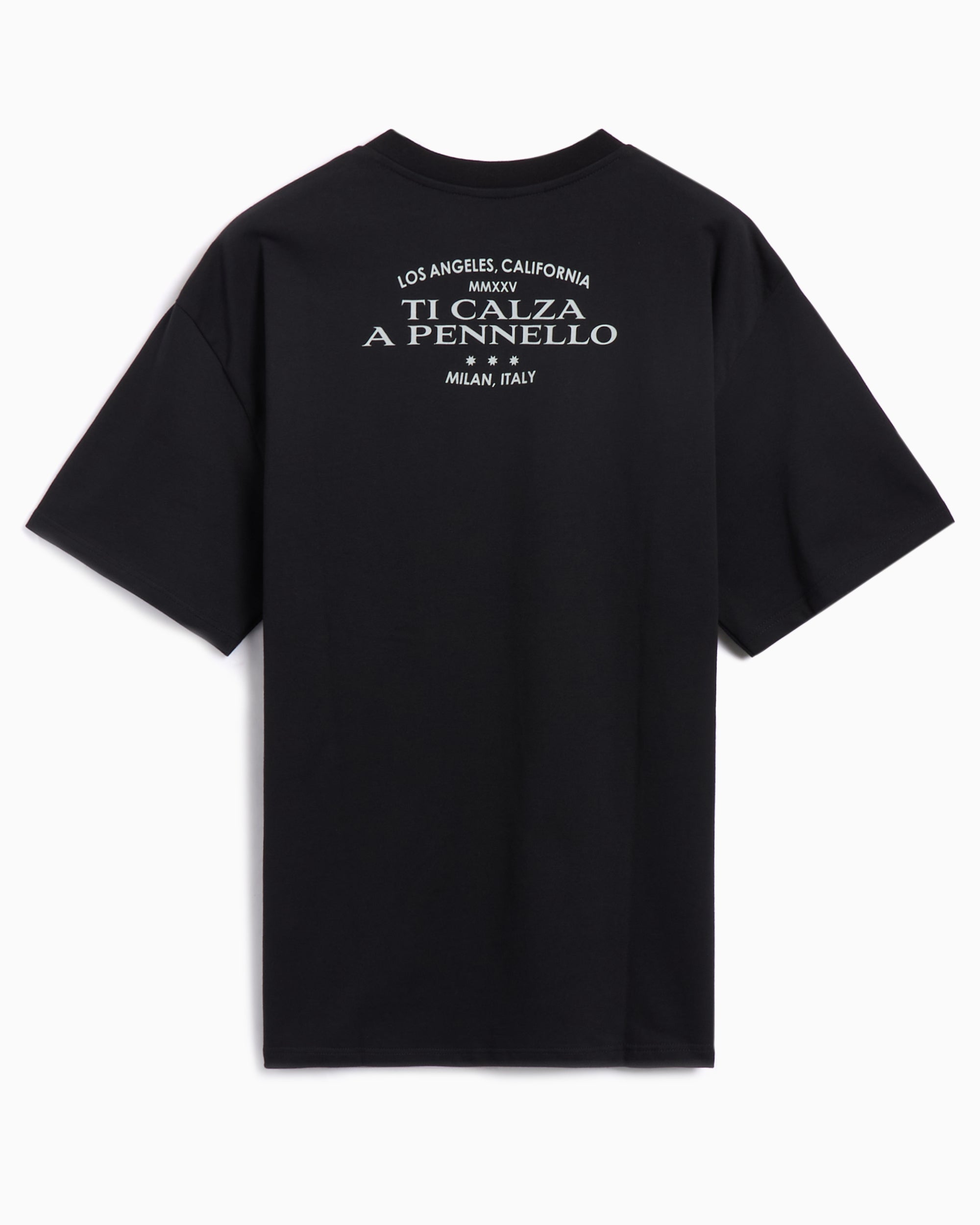T-Shirts Pleasures Alberto Men's T-Shirt Men's T-Shirt - P24IU008-BLACK