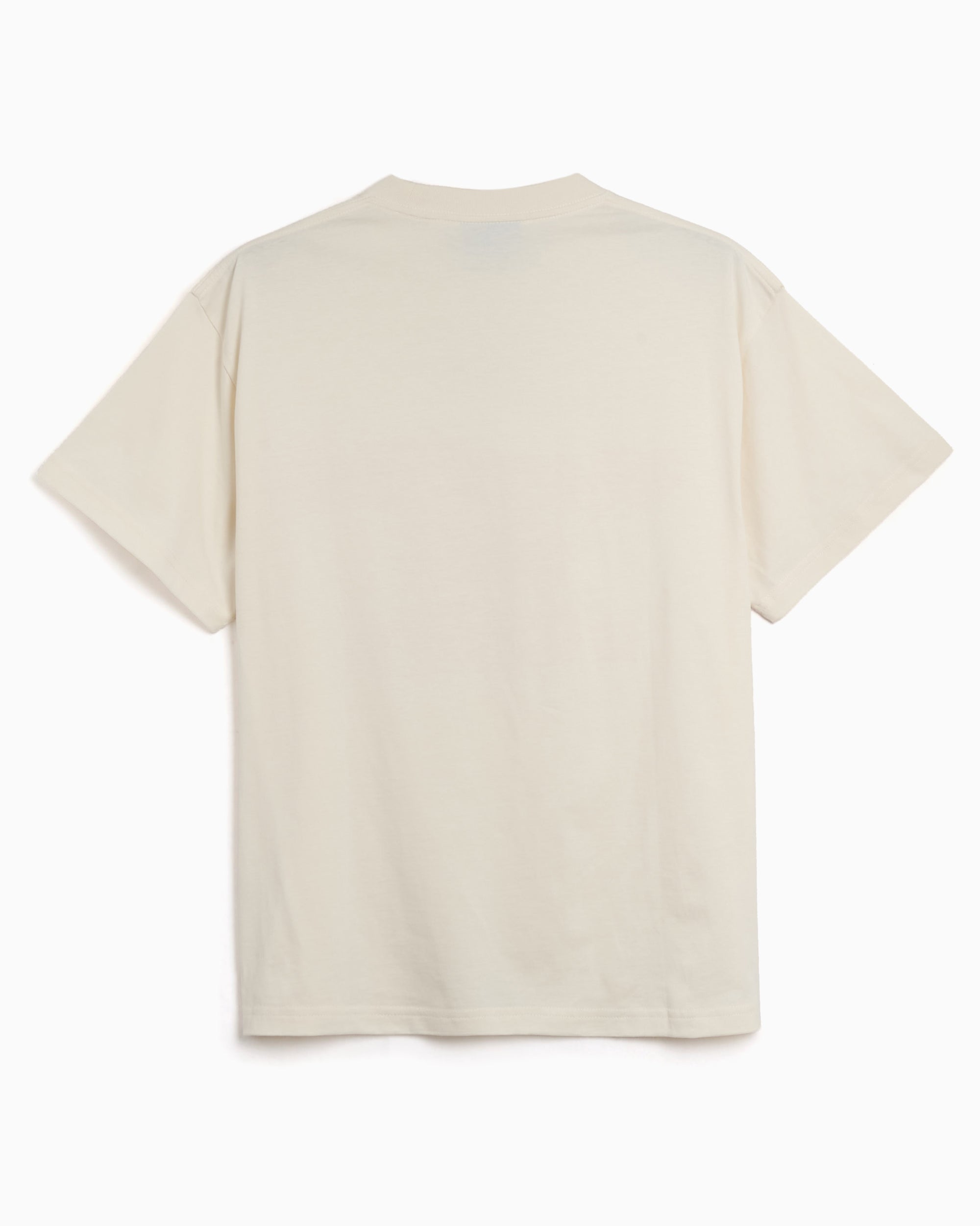 T-Shirts Pleasures x Oasis Nordique Graphic Relaxed Men's T-Shirt - P26OA008-VTGWHITE