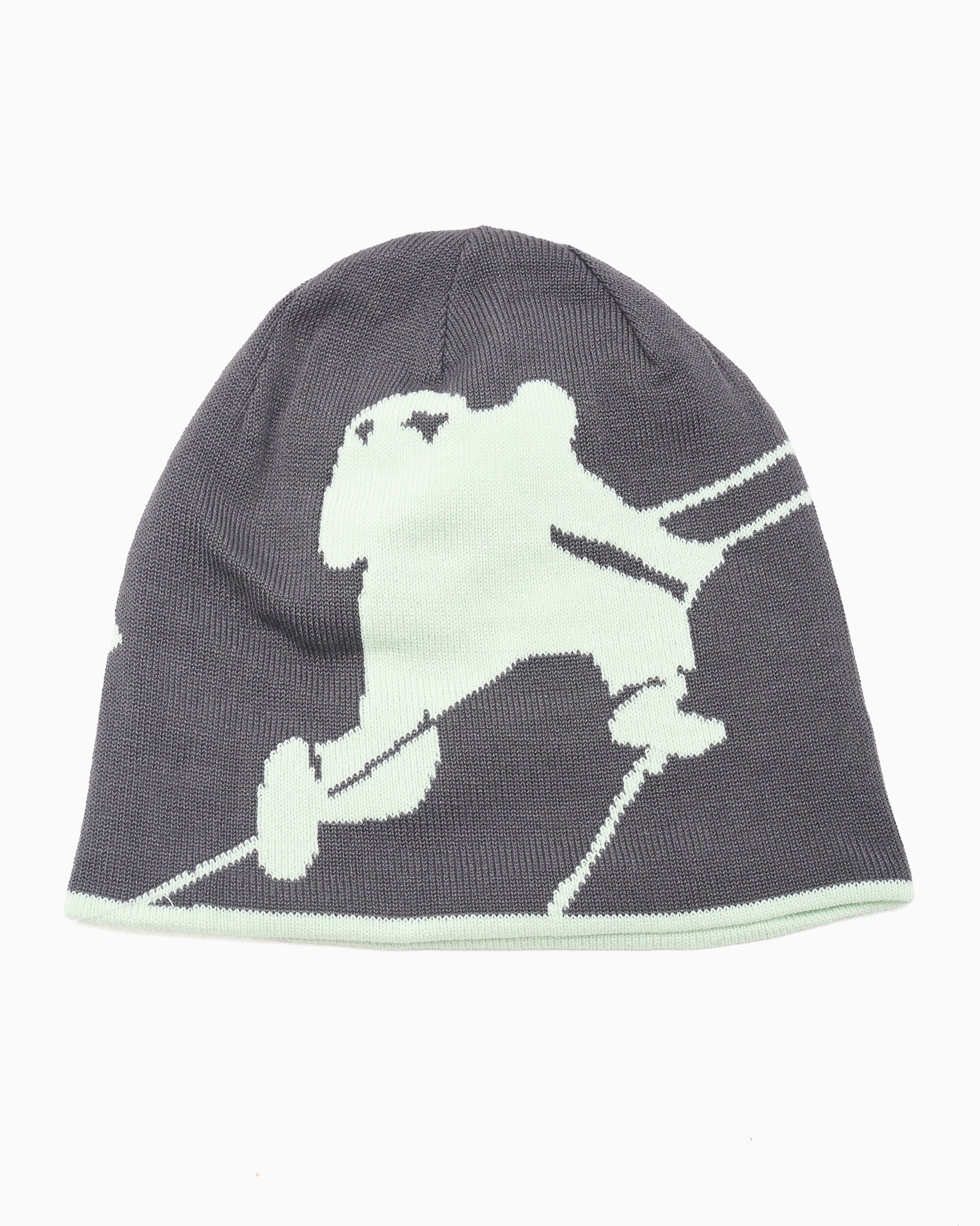 Beanies & Hats The North Face Highline Reversible Unisex Beanie - NF0A7WLAWP71