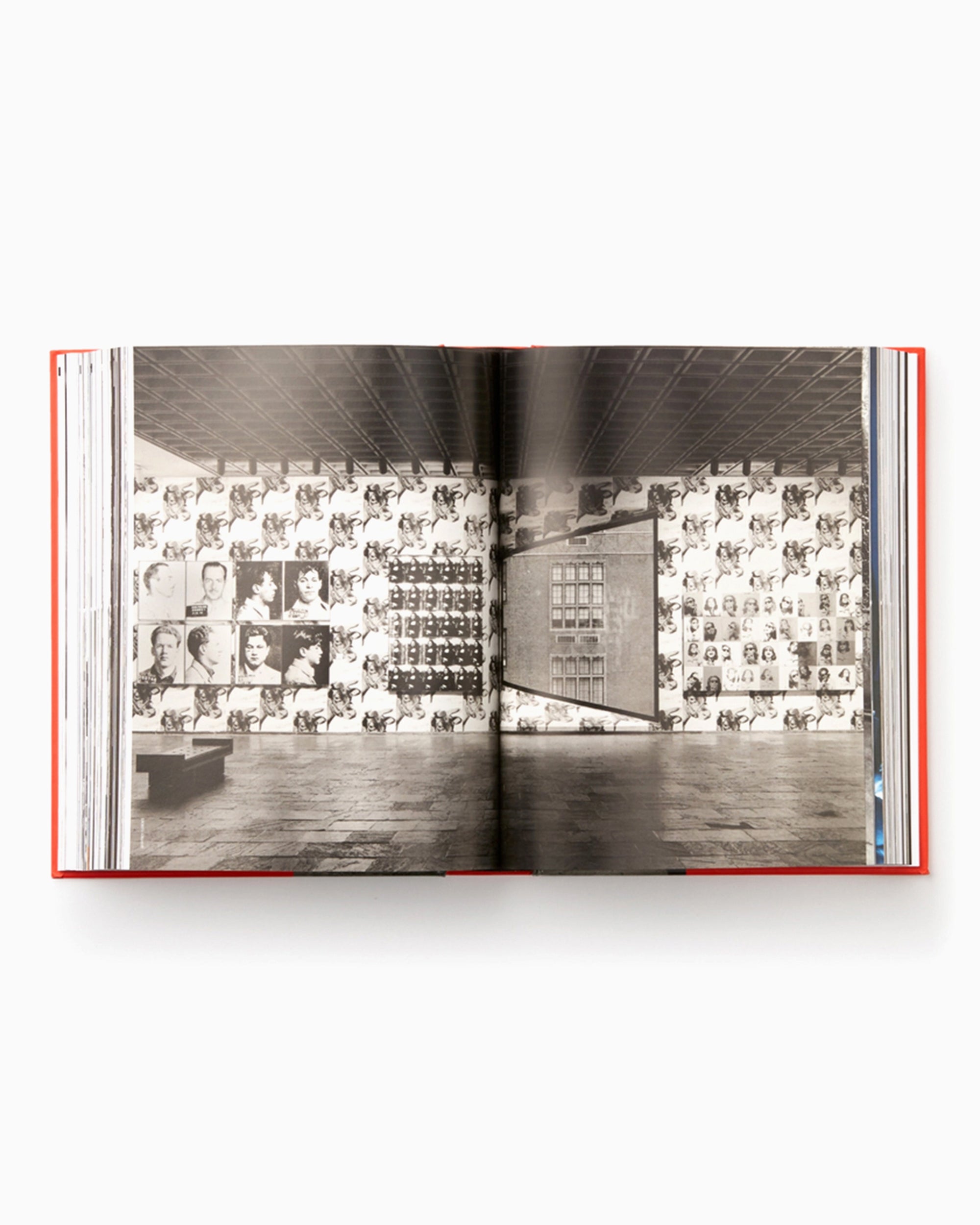 Books Magazines Andy Warhol "Giant" Size - Mini Format Phaidon Editors By Dave Hickey - 9780714877303