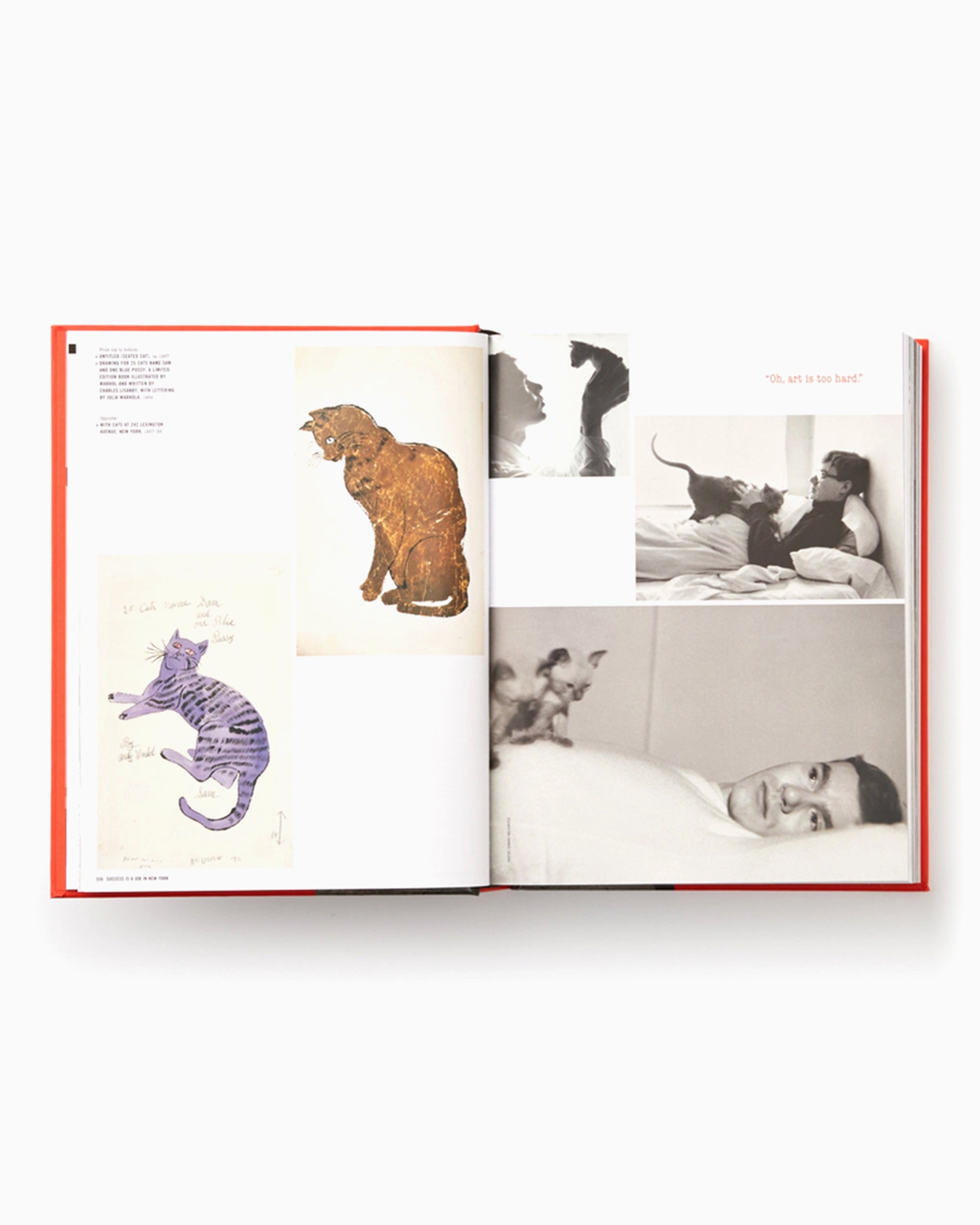 Books Magazines Andy Warhol "Giant" Size - Mini Format Phaidon Editors By Dave Hickey - 9780714877303