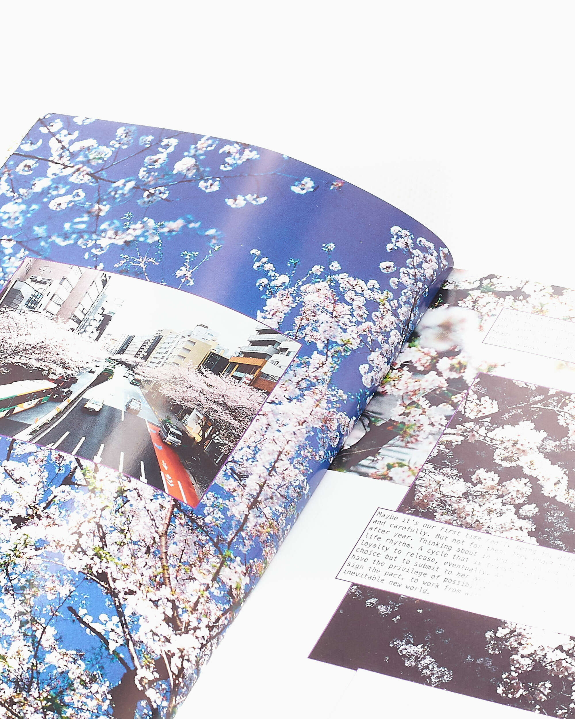 Books Magazines Perks & Mini Perks And Mini Positive Messages Innen Book - 9860