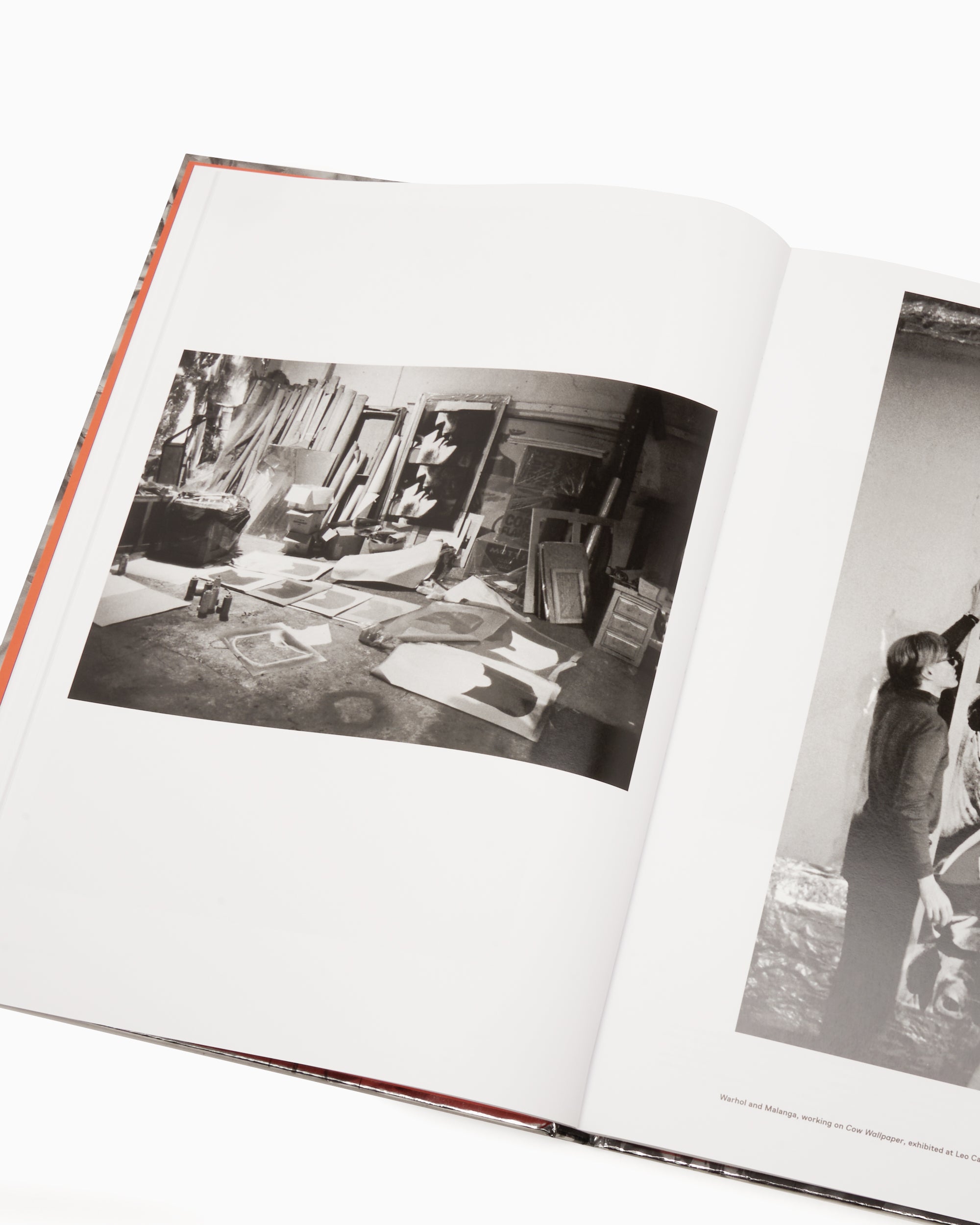 Books Magazines Phaidon Factory Andy Warhol By Stephen Shore - 9780714872742