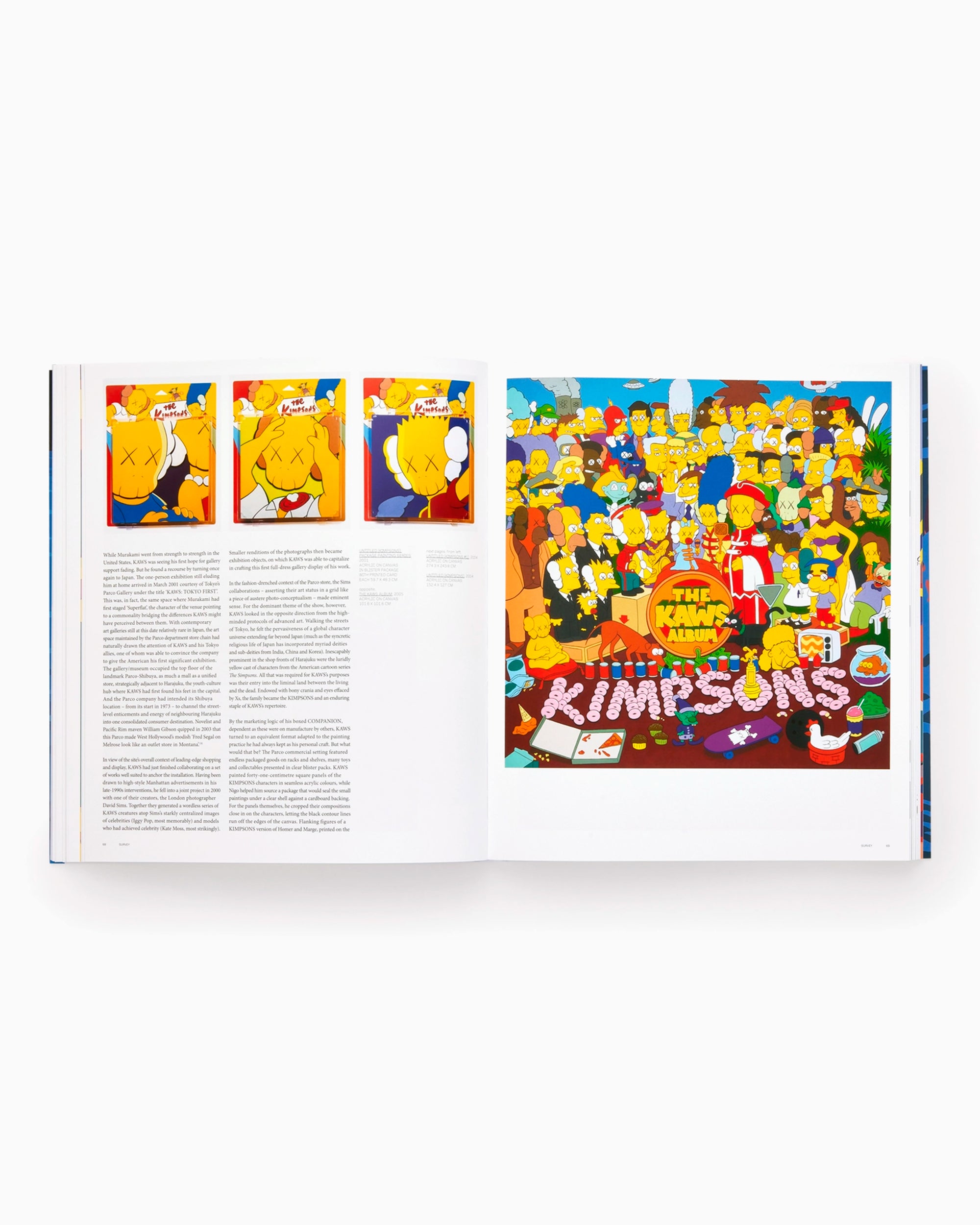 Phaidon KAWS: Contemporary Artists