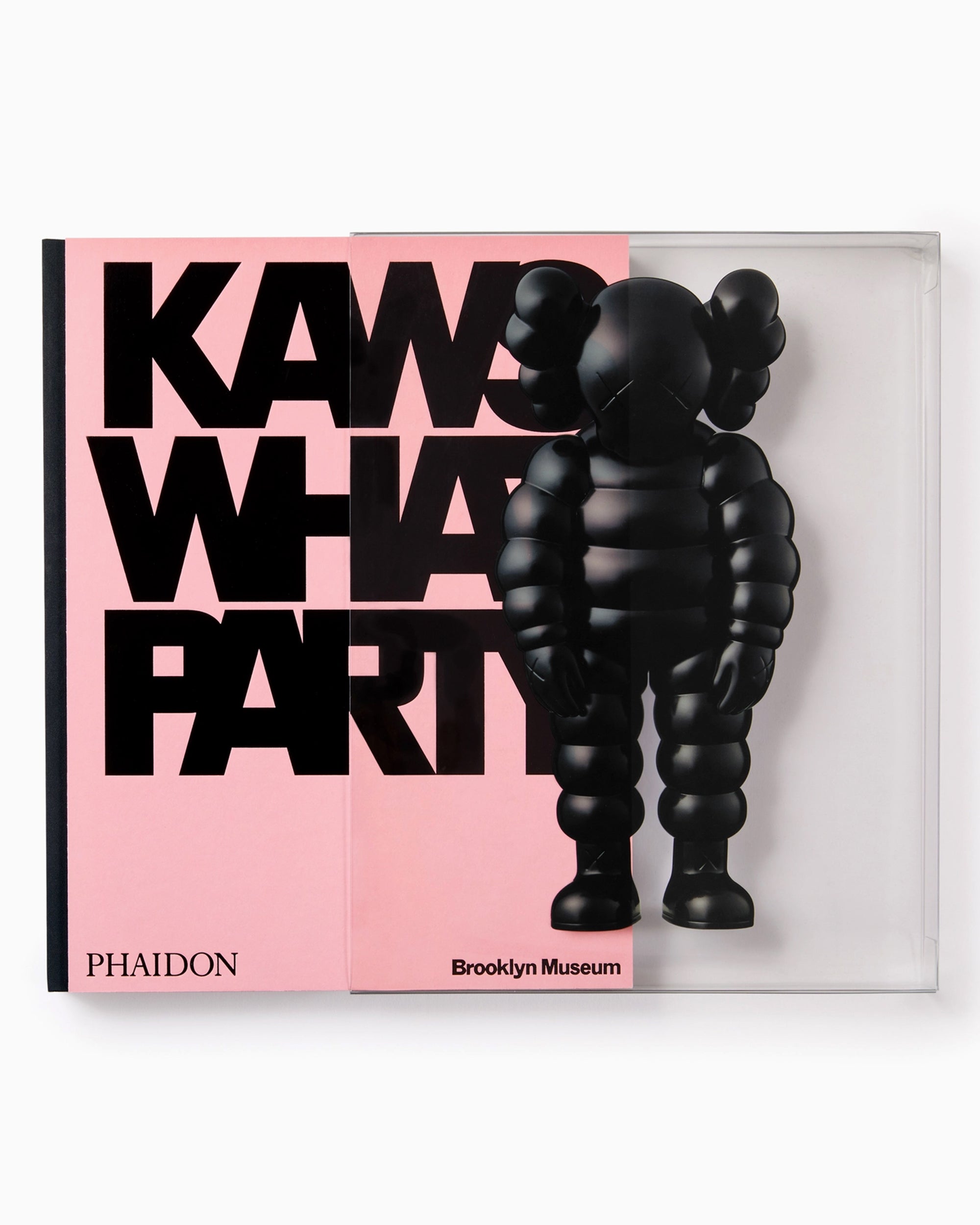 Phaidon KAWS: What Party
