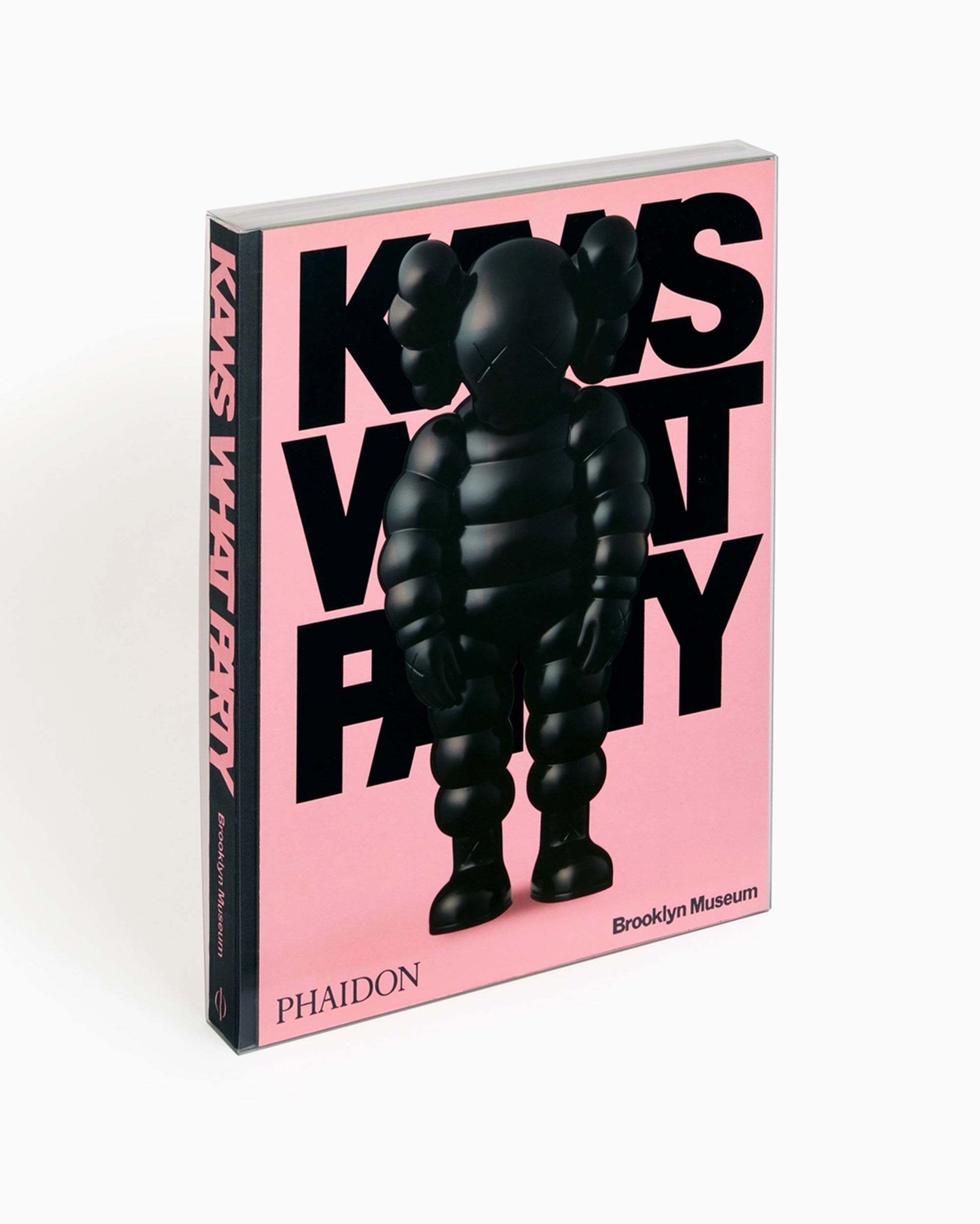 Phaidon KAWS: What Party