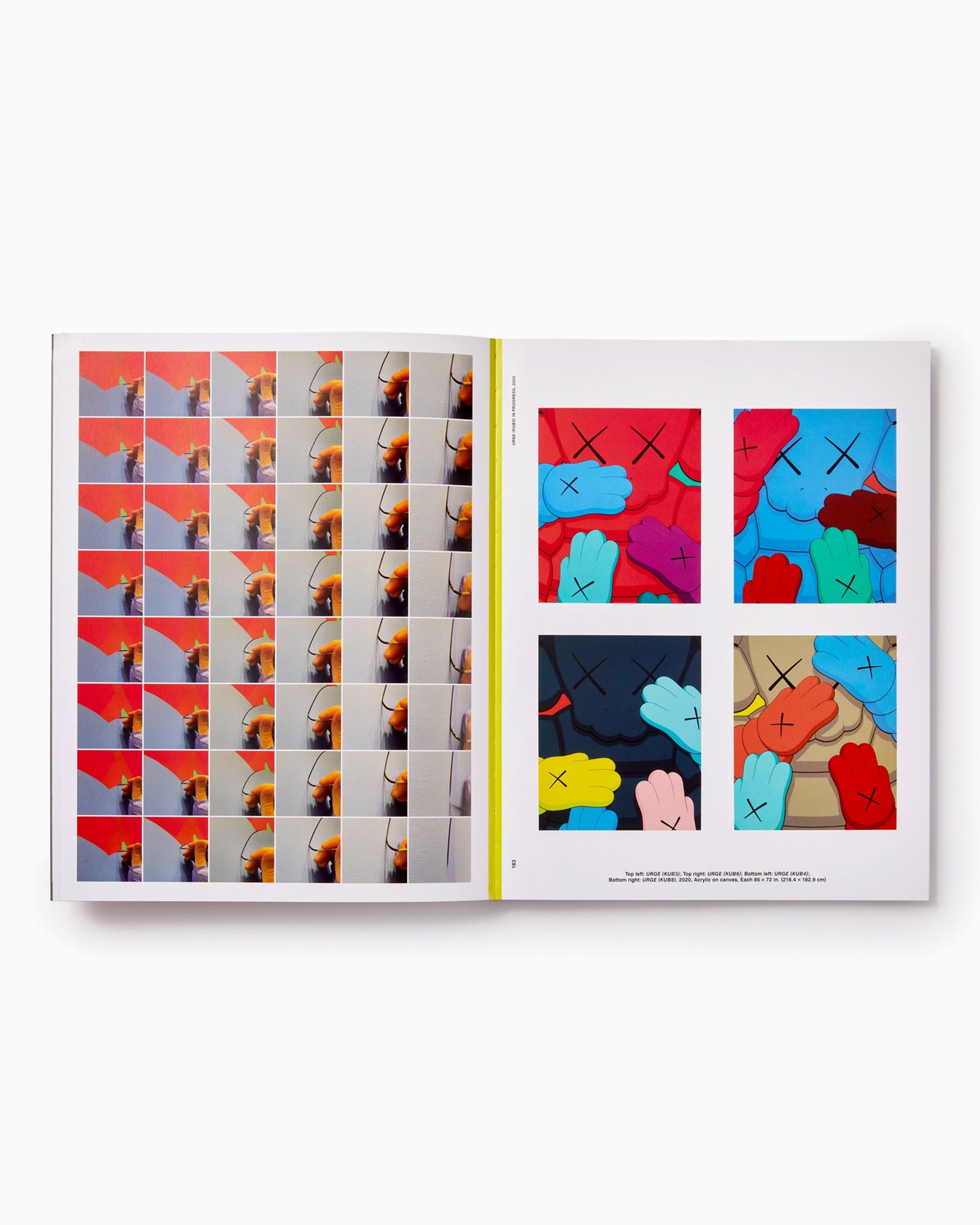 Phaidon KAWS: What Party