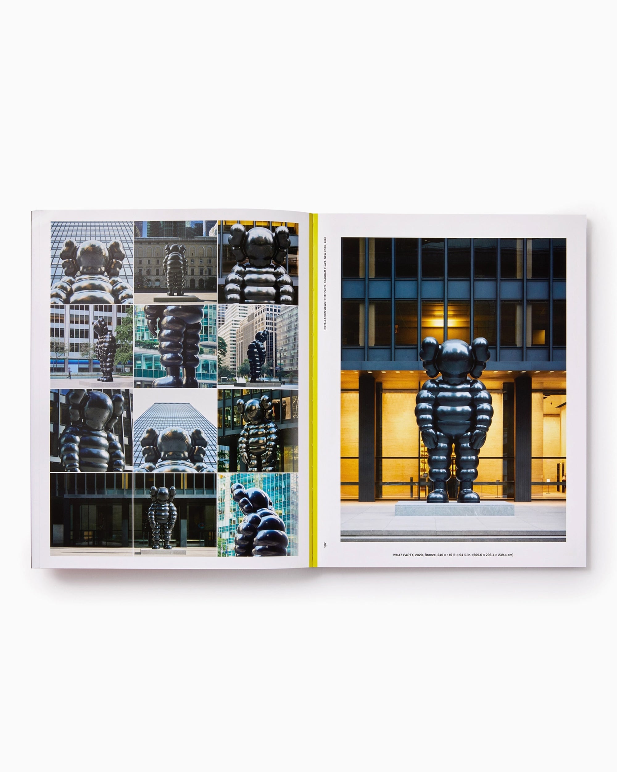 Phaidon KAWS: What Party