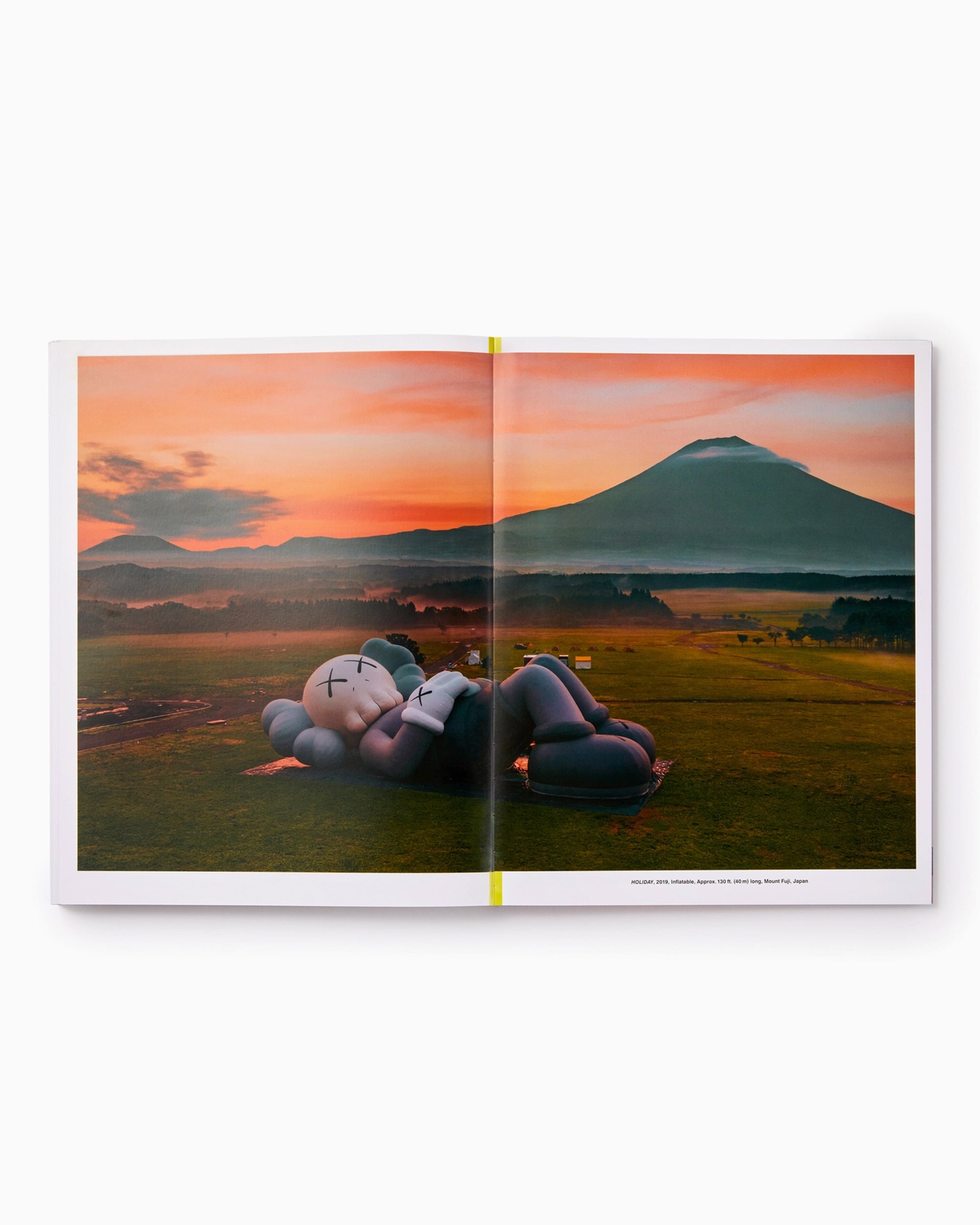 海外限定　KAWS WHAT PARTY オレンジエディション カウズ　本　書籍 Phaidon KAWS: What Party