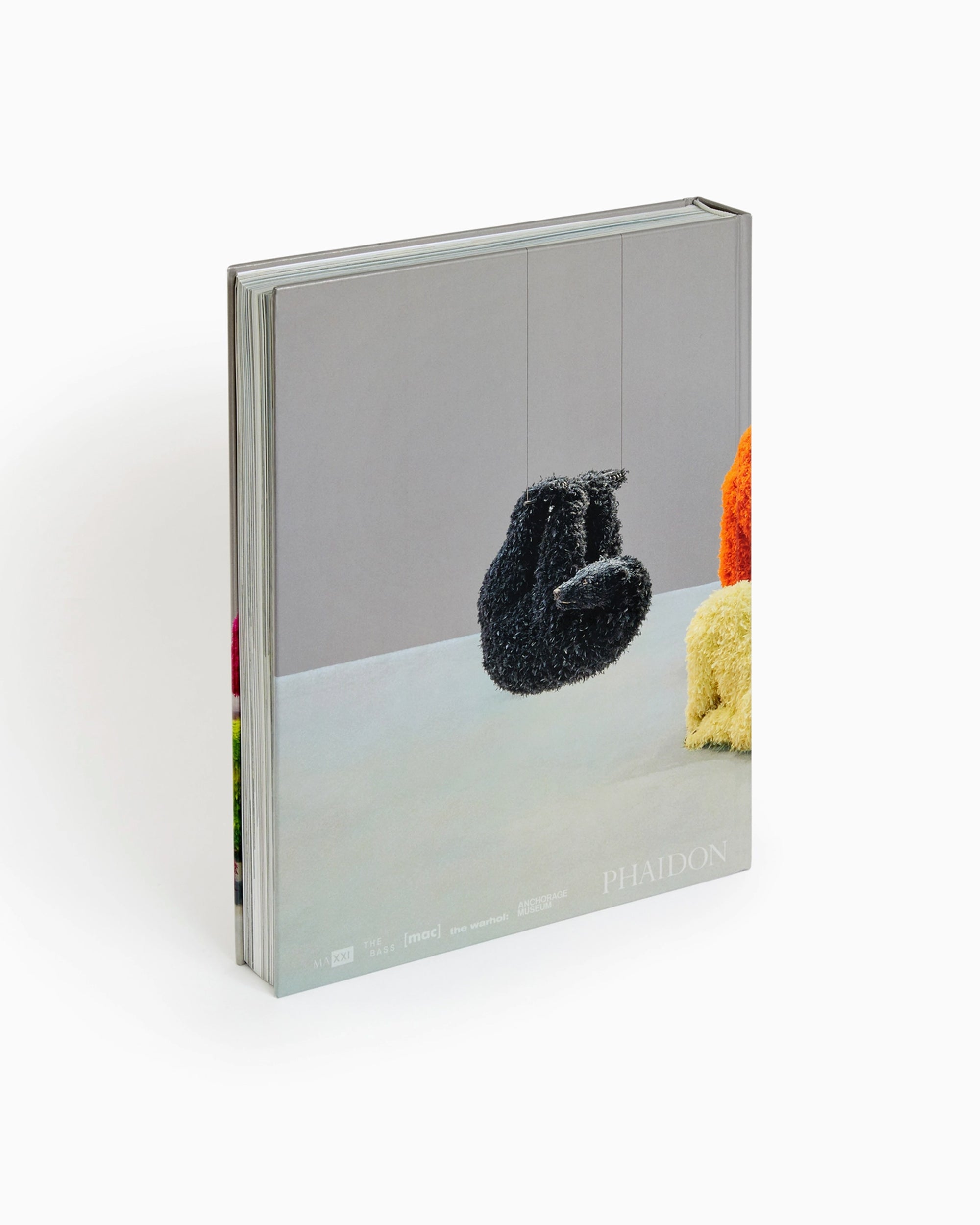 Books Magazines Phaidon Paola Pivi By Justine Ludwig - 9781838663377