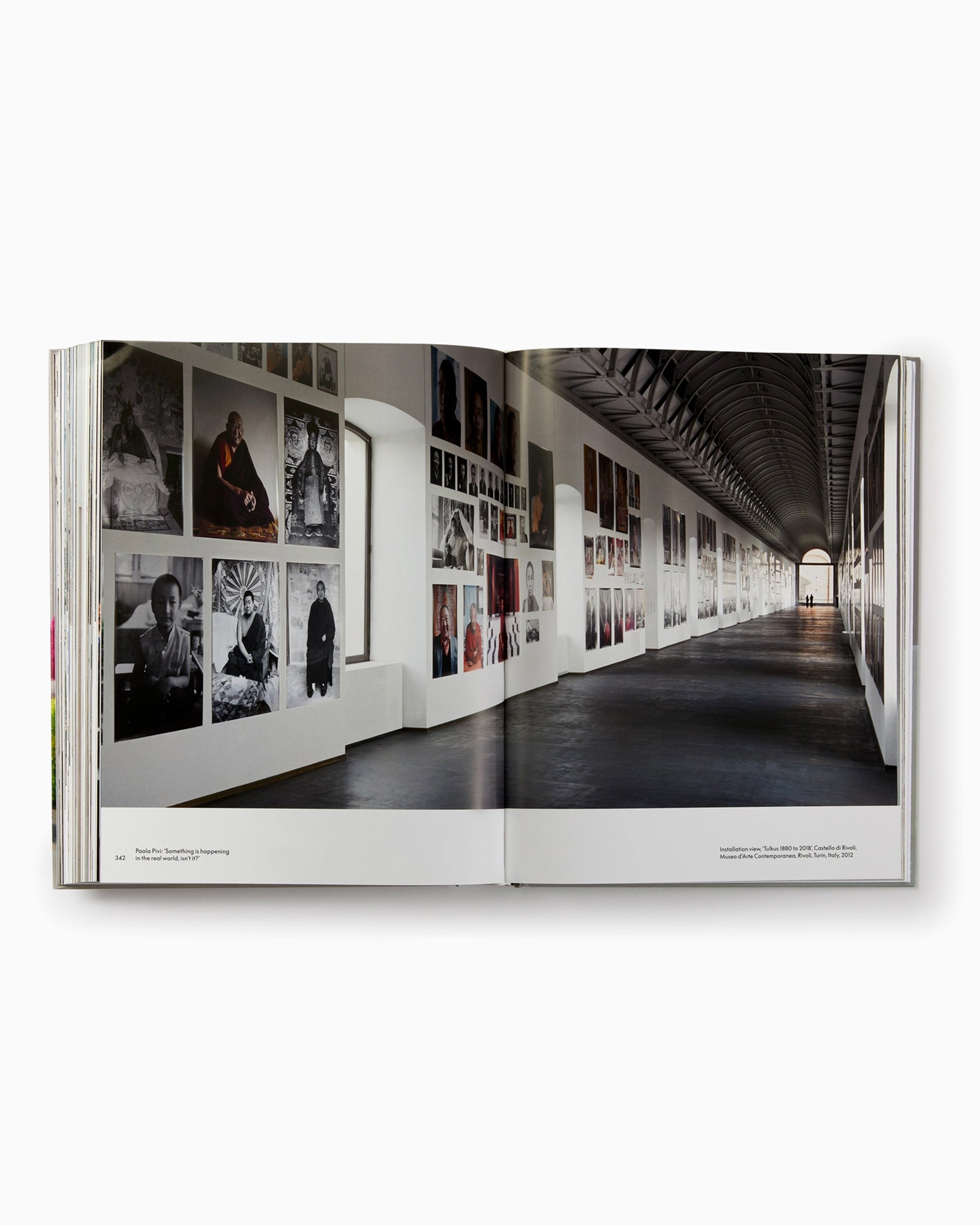 Books Magazines Phaidon Paola Pivi By Justine Ludwig - 9781838663377