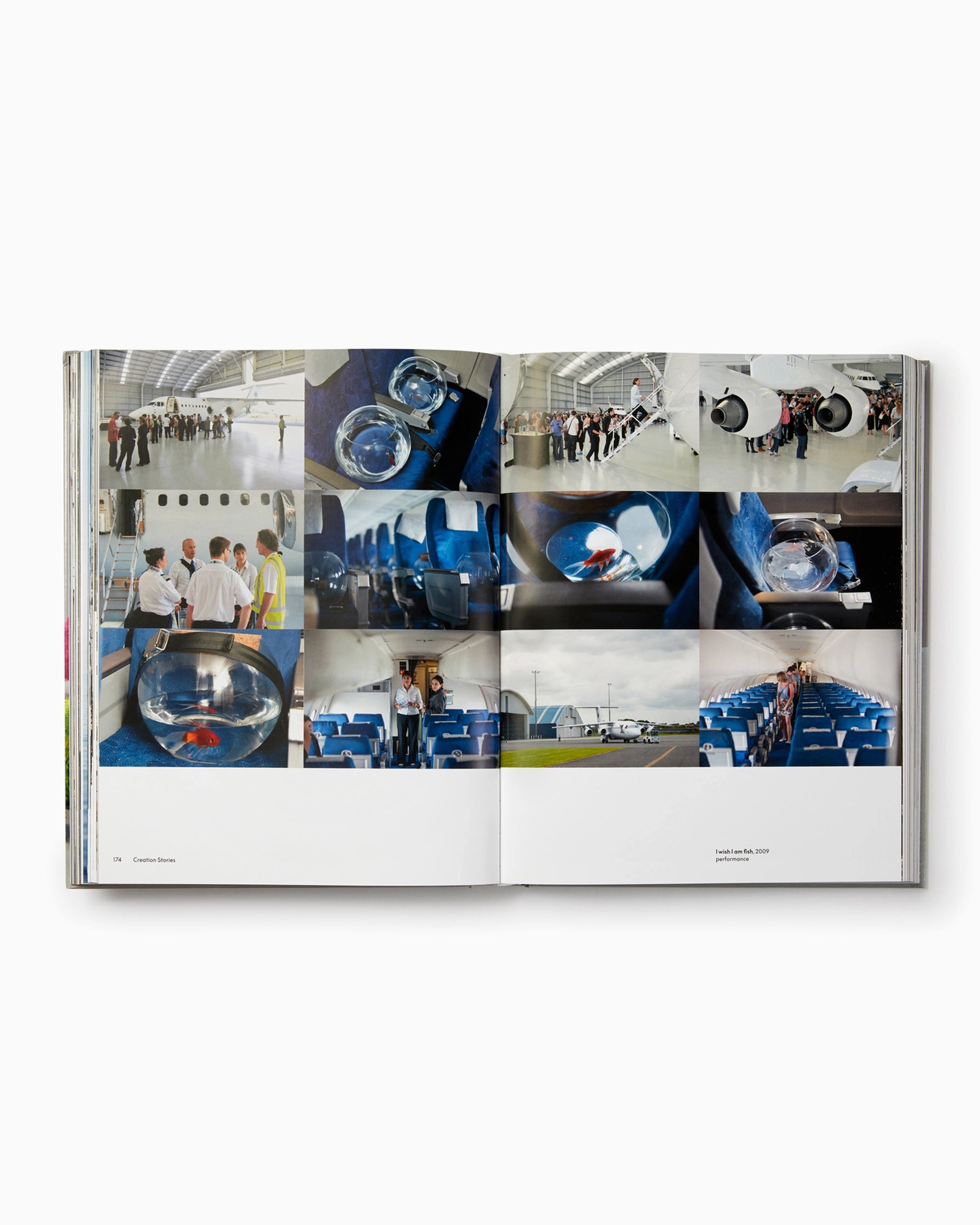 Books Magazines Phaidon Paola Pivi By Justine Ludwig - 9781838663377