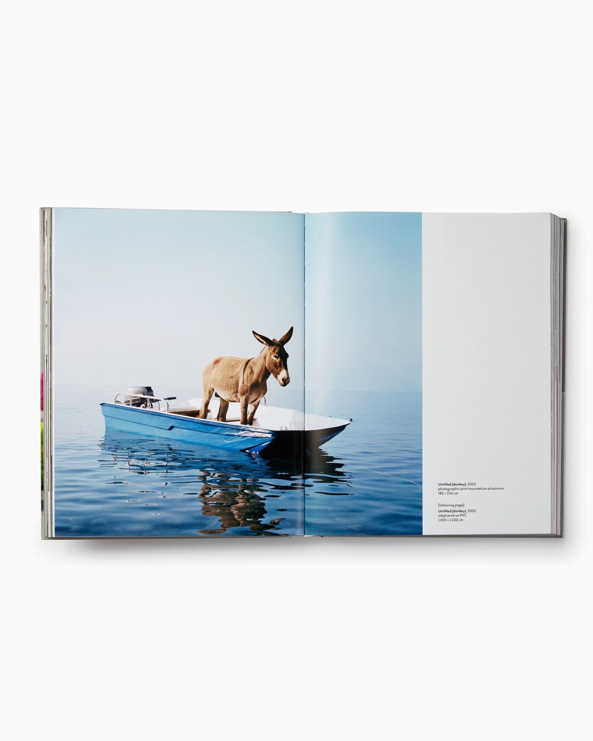 Books Magazines Phaidon Paola Pivi By Justine Ludwig - 9781838663377
