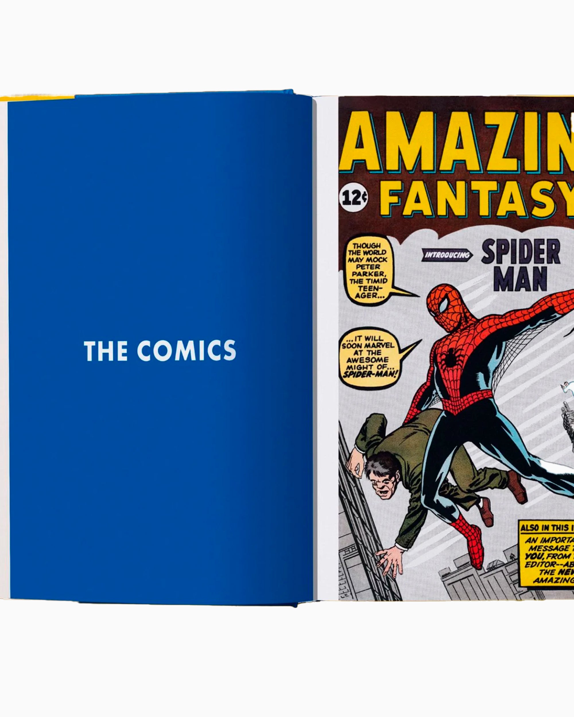 Books Magazines Taschen Marvel Comics Library. Spider-Man, V1, 1962-1964 - 978-3-8365-9858-3