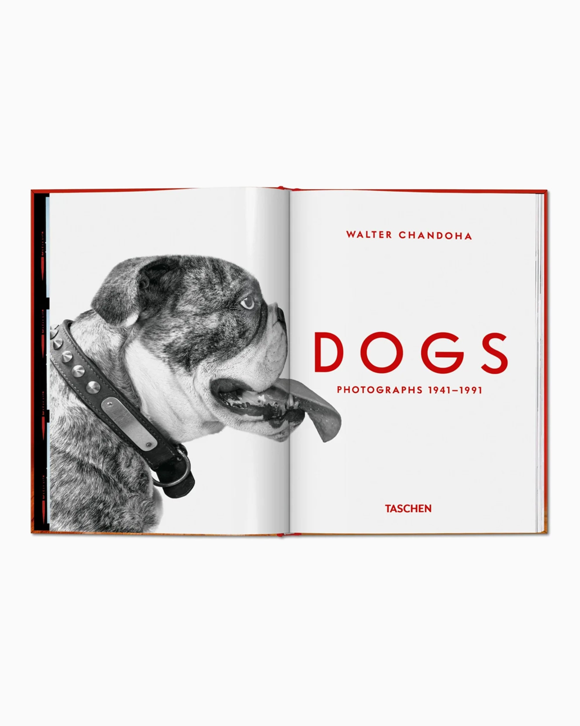 Books Magazines Taschen Walter Chandoha. Dogs. Photographs 1941–1991 - 978-3-7544-0025-8