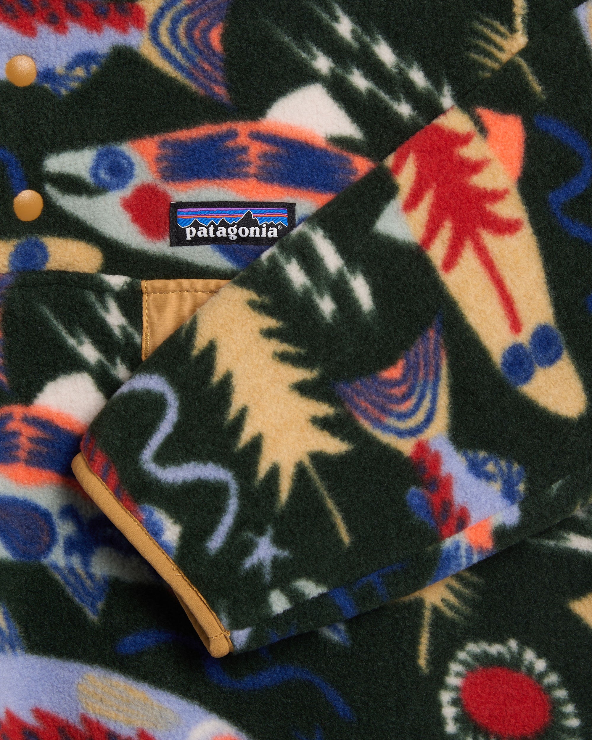 Patagonia Graphic Men's Fleece Jacket