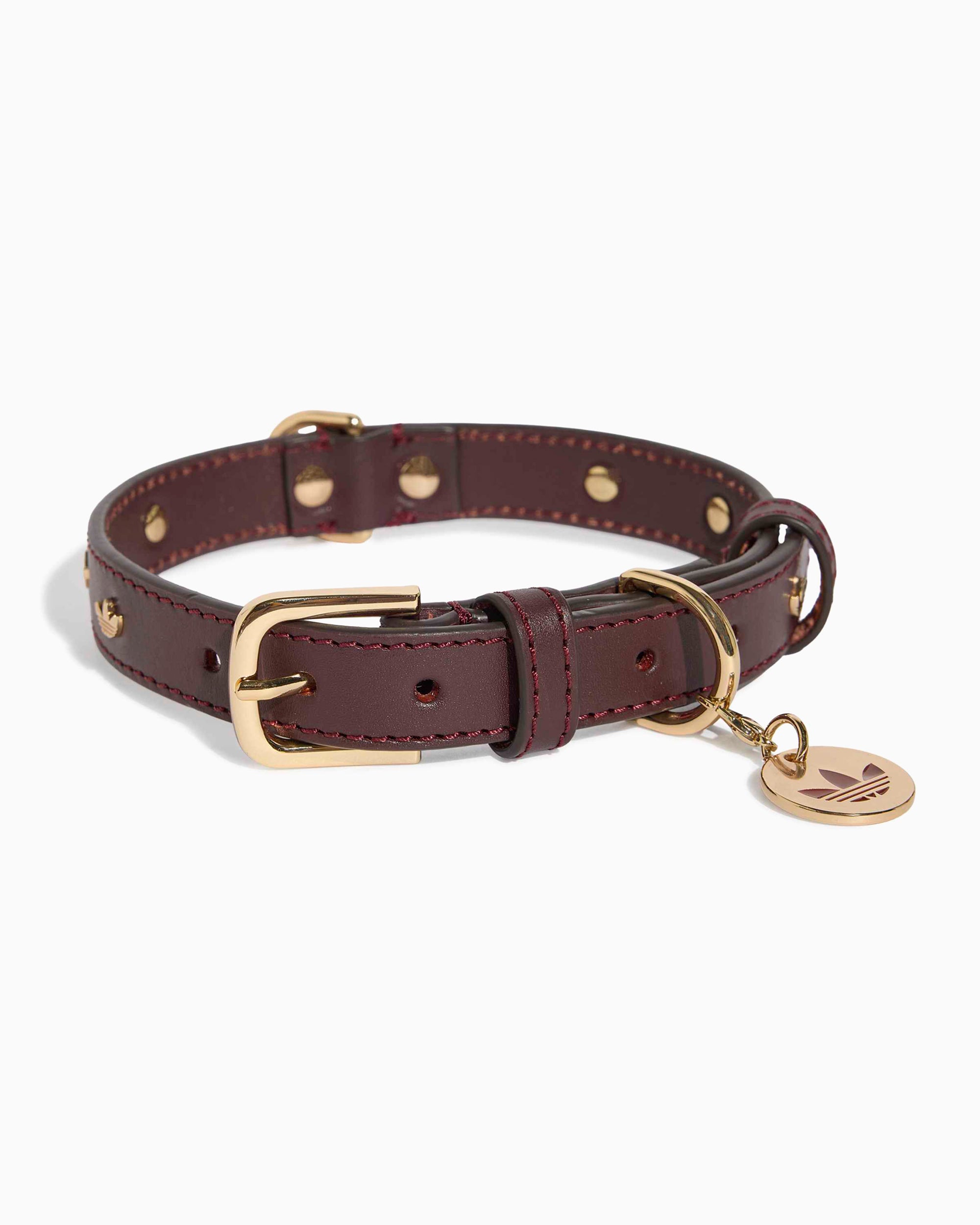 Outdoor accessories adidas Originals Pet Collar - KY8799