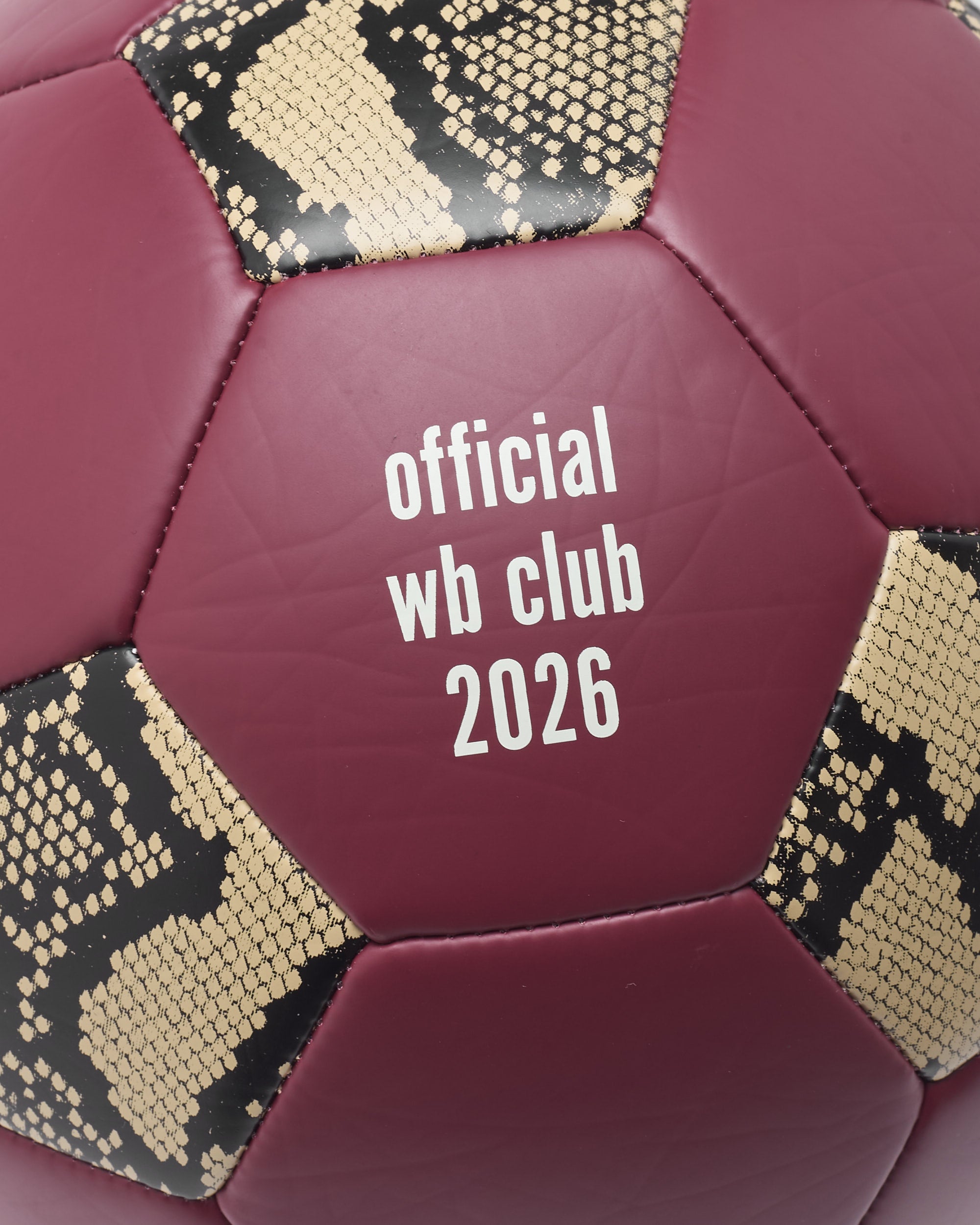 adidas Originals x Wales Bonner Football Ball