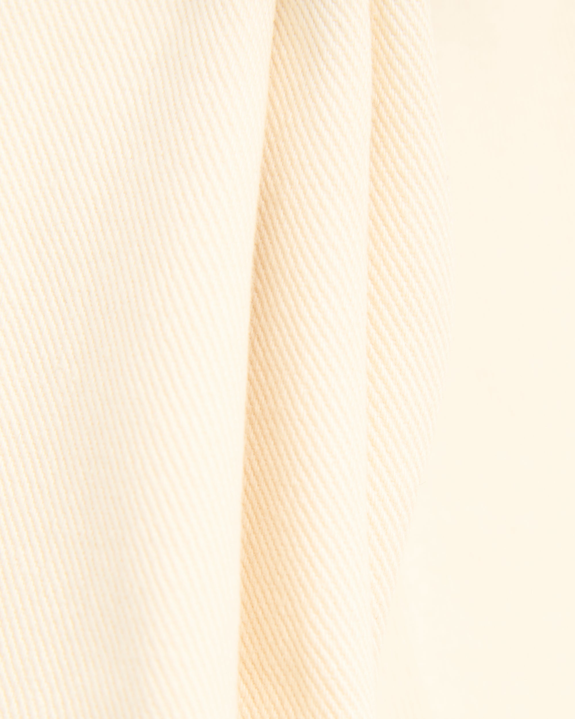 Pants OBEY Clothing x Paraboot Lanceur Relaxed Men's Pants - 142020281-OFF
