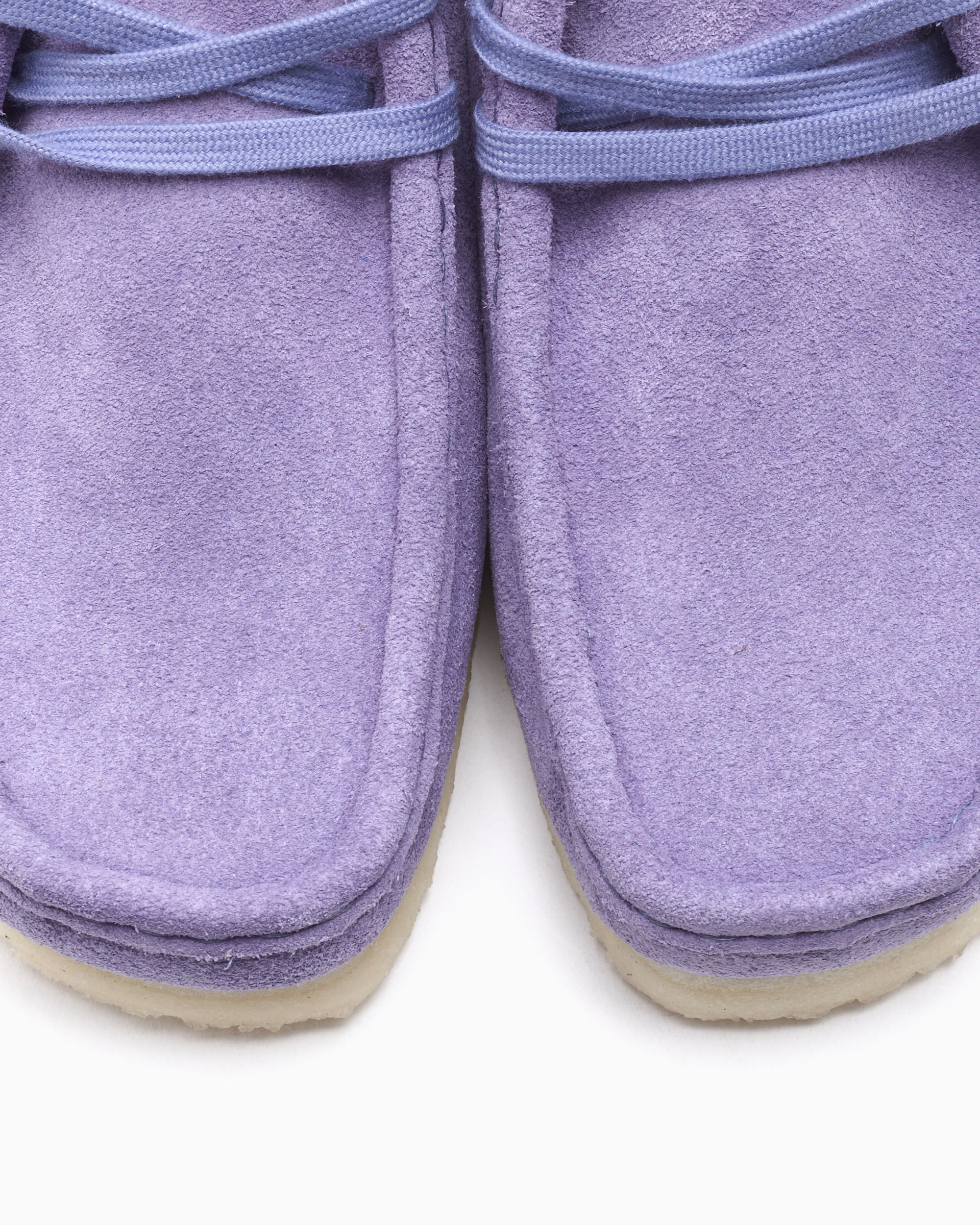 Shoes Clarks Wallabee Purple Interest Women's Shoes - 26186542