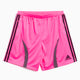 Shorts adidas Performance Teamgeist Adicolor pour homme