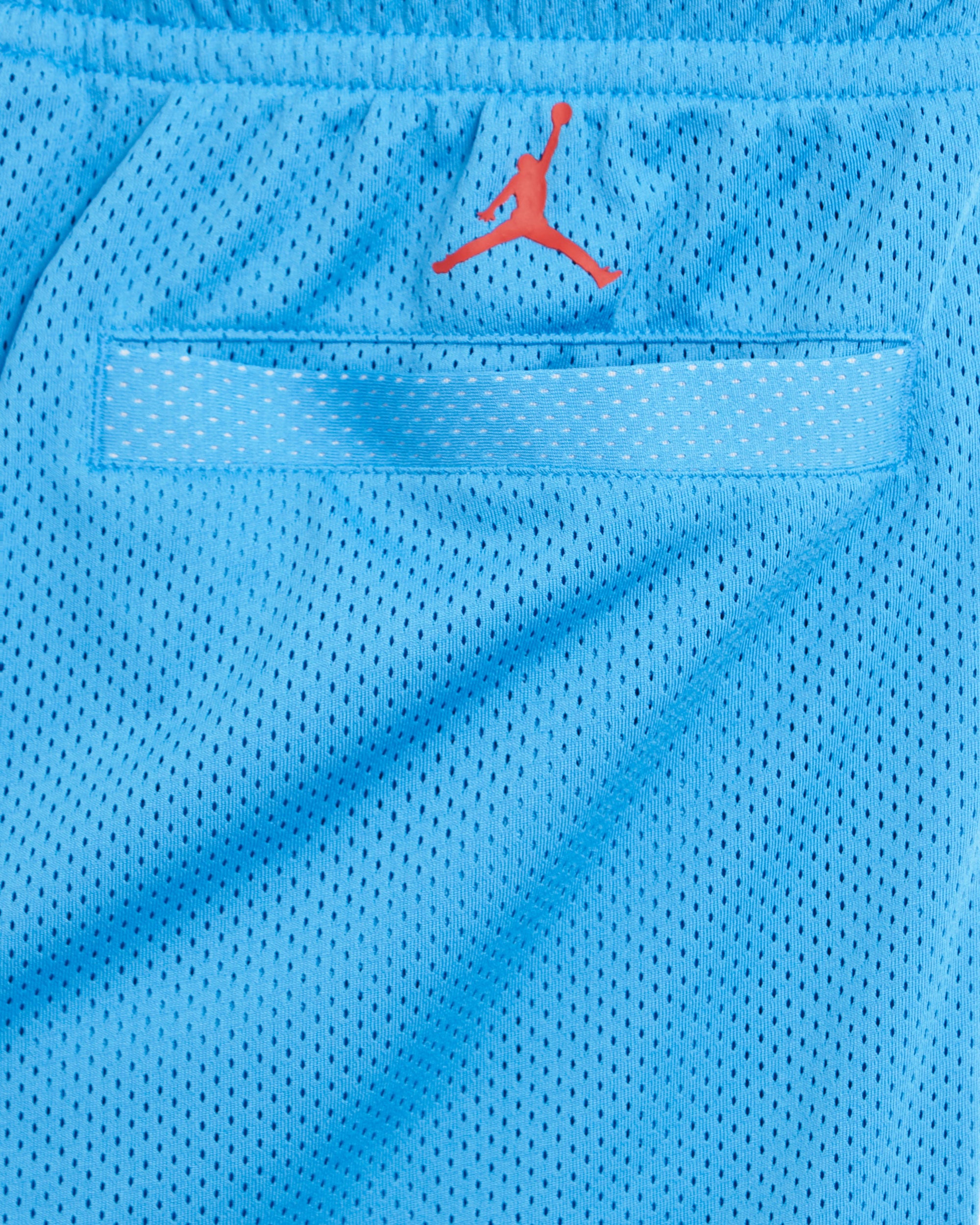 Jordan Artist Series By Darien Birks Men's Shorts Men's Shorts