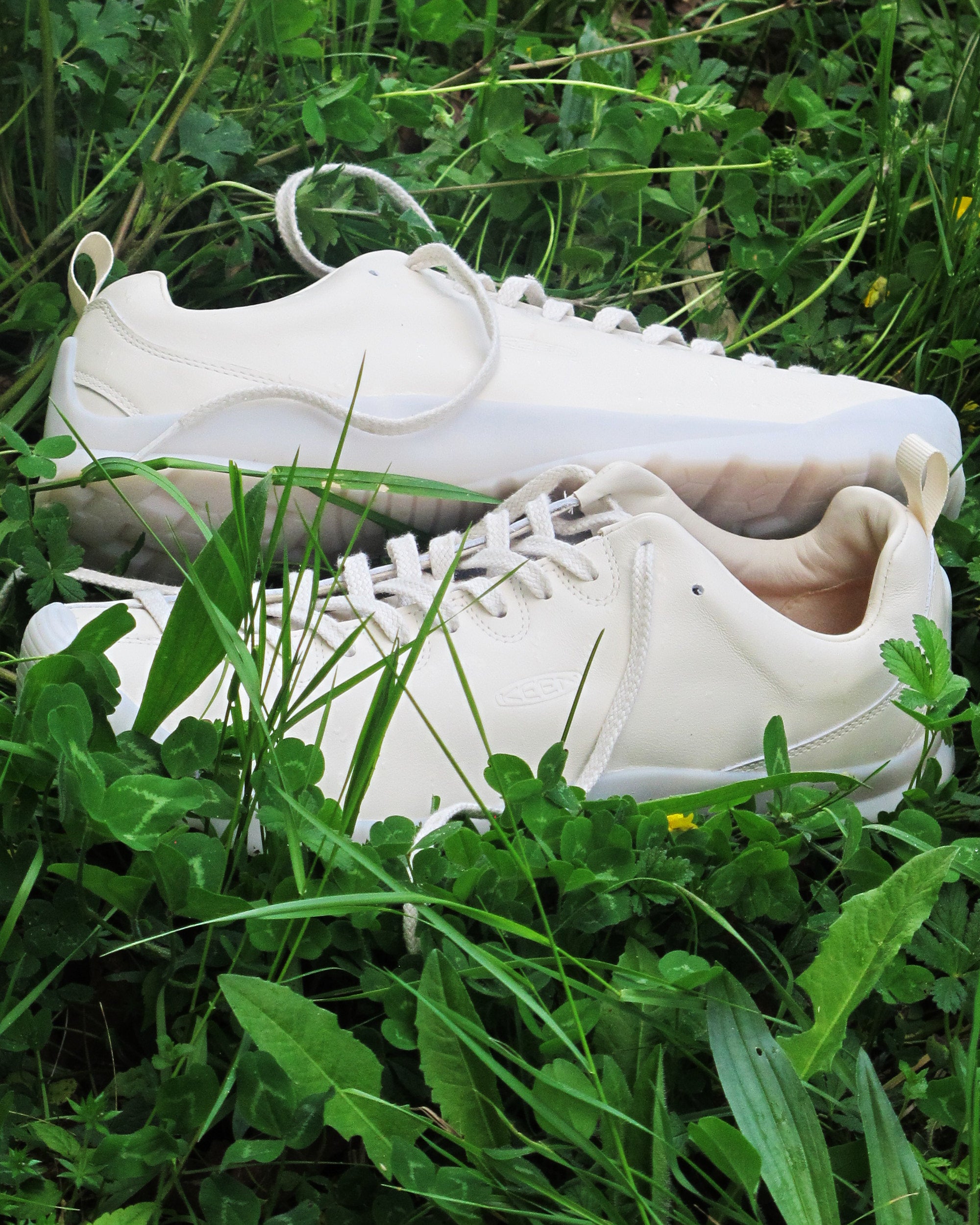 Sneakers KEEN Jasper SE1 "Atmosphere Pack" - 1032108