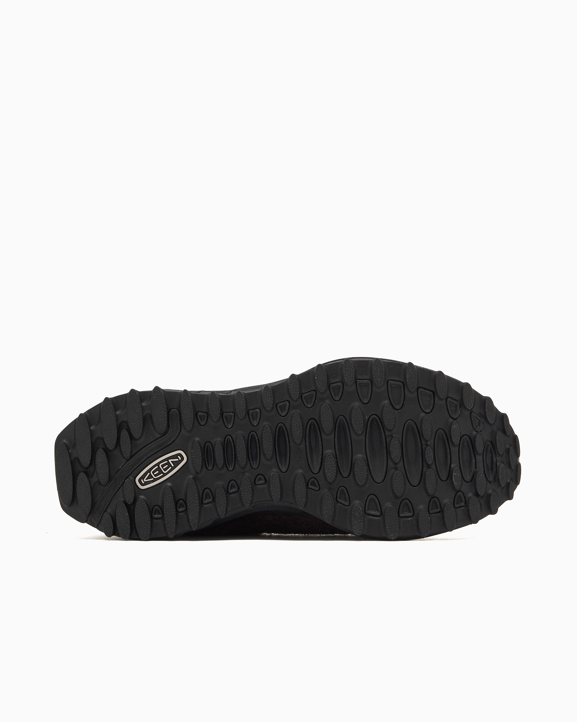 ねここ KEEN Jasper Zionic