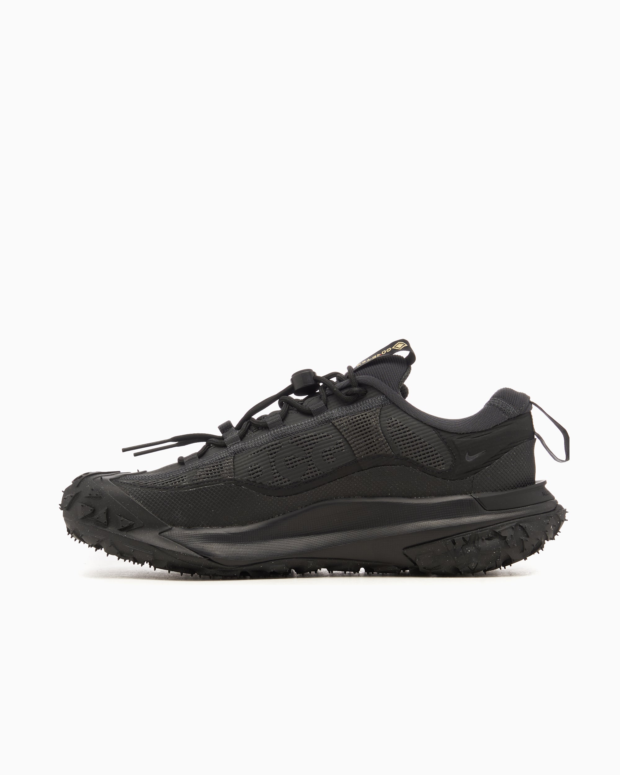 Sneakers Nike ACG Mountain Fly 2 Low Gore-Tex® - HF6245-001