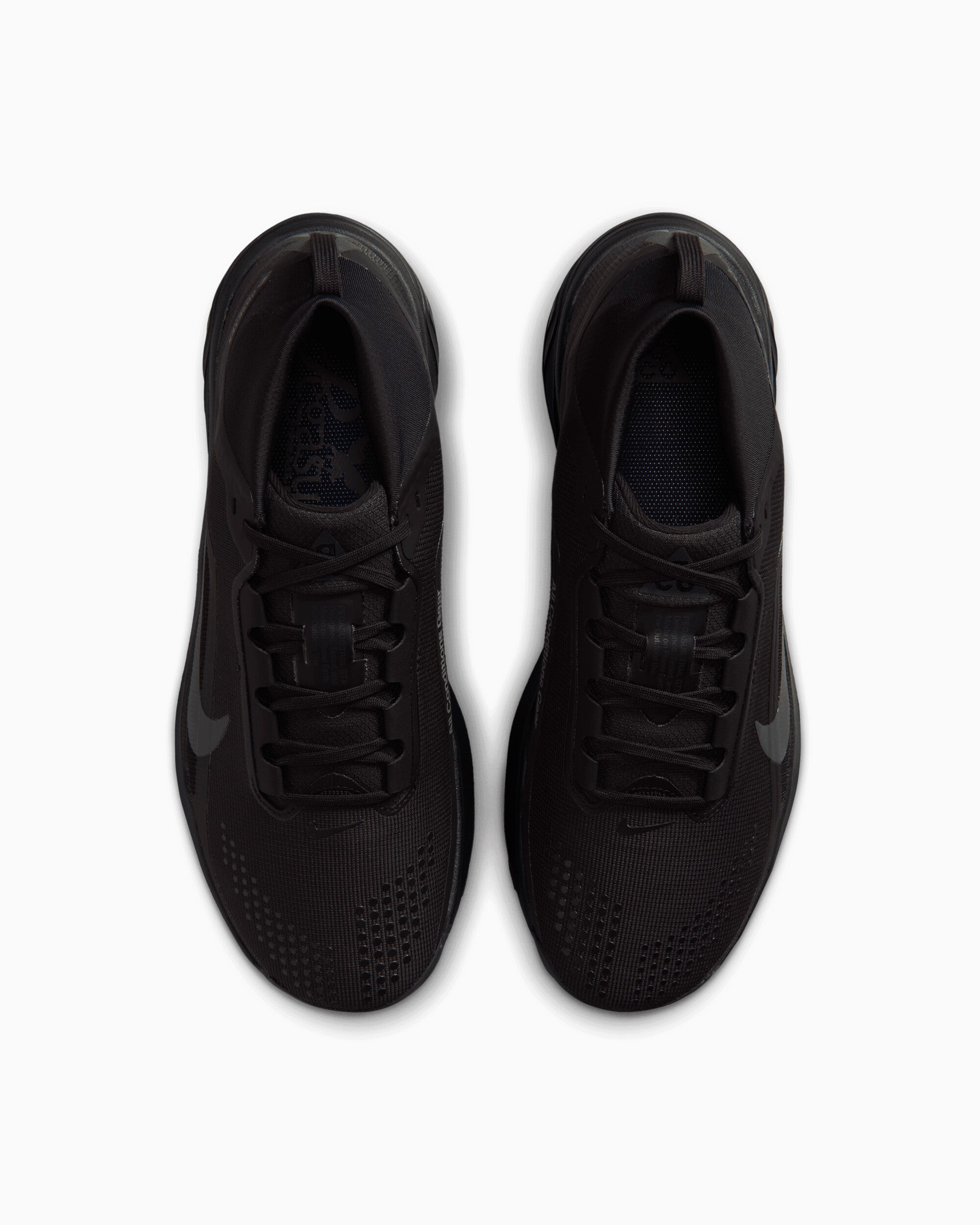 Sneakers Nike ACG Pegasus Trail Gore-Tex® - IQ1084-002