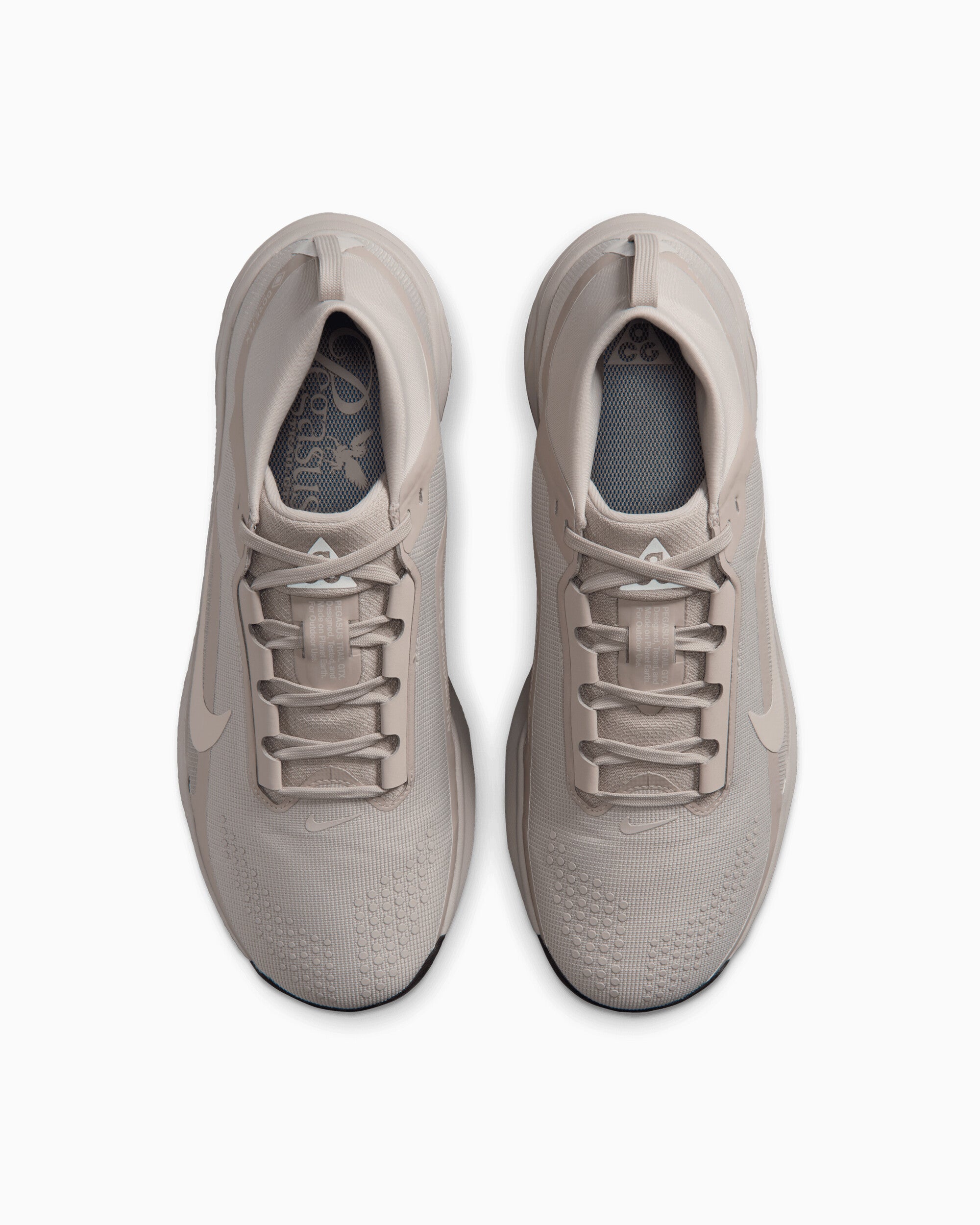 Sneakers Nike ACG Pegasus Trail Gore-Tex® - IQ1084-200