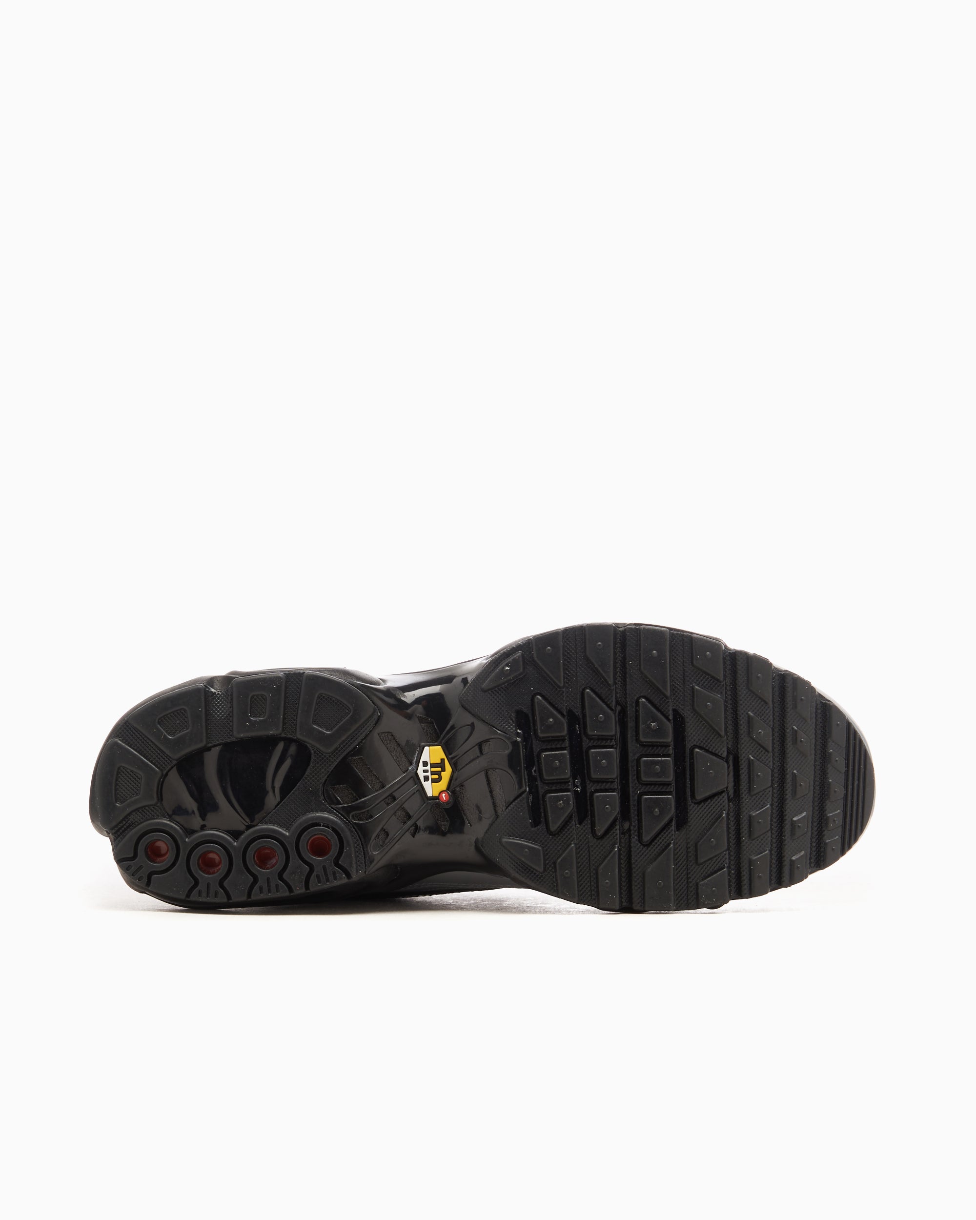 Nike Air Max Plus Tiempo 