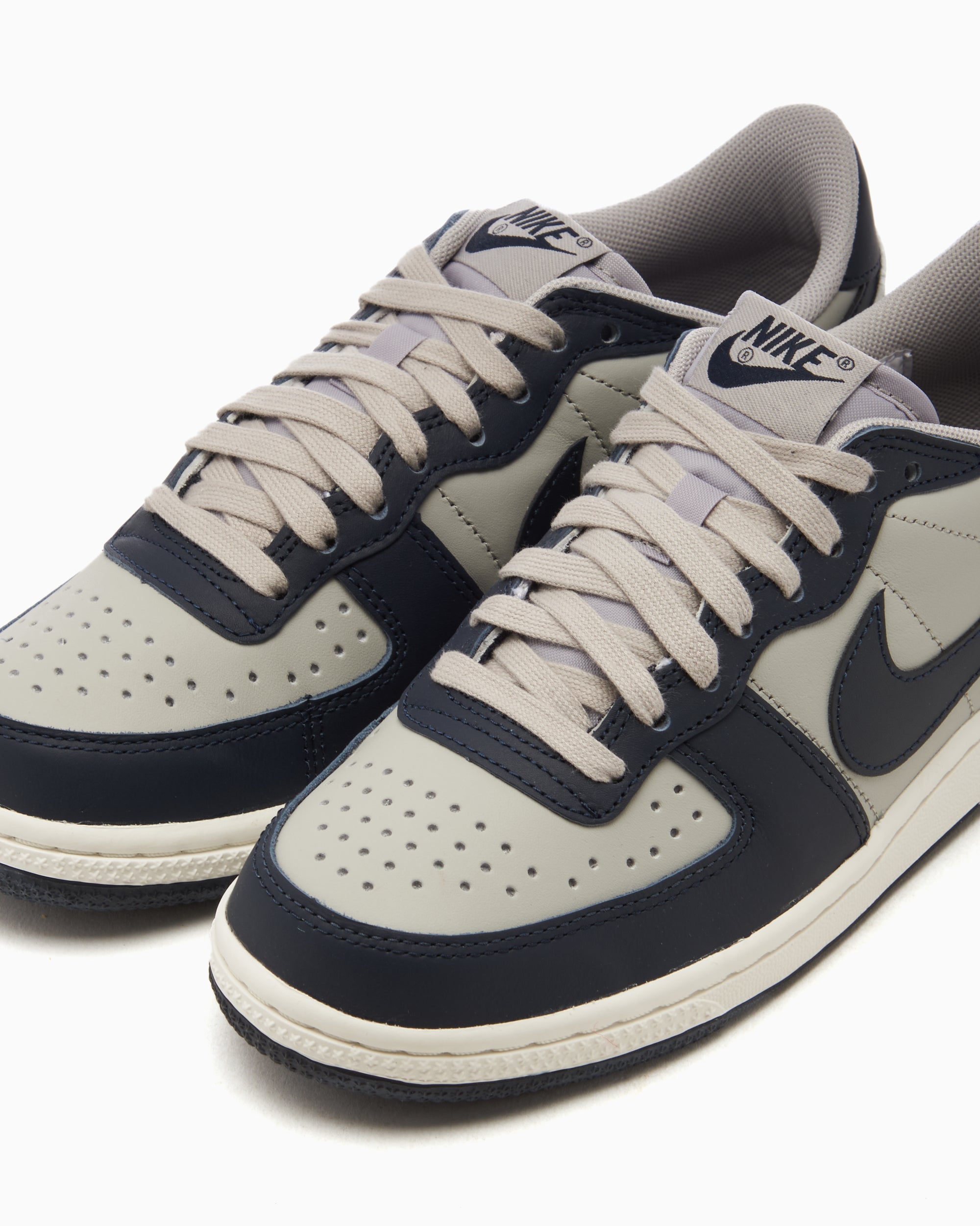 Nike Terminator Low 