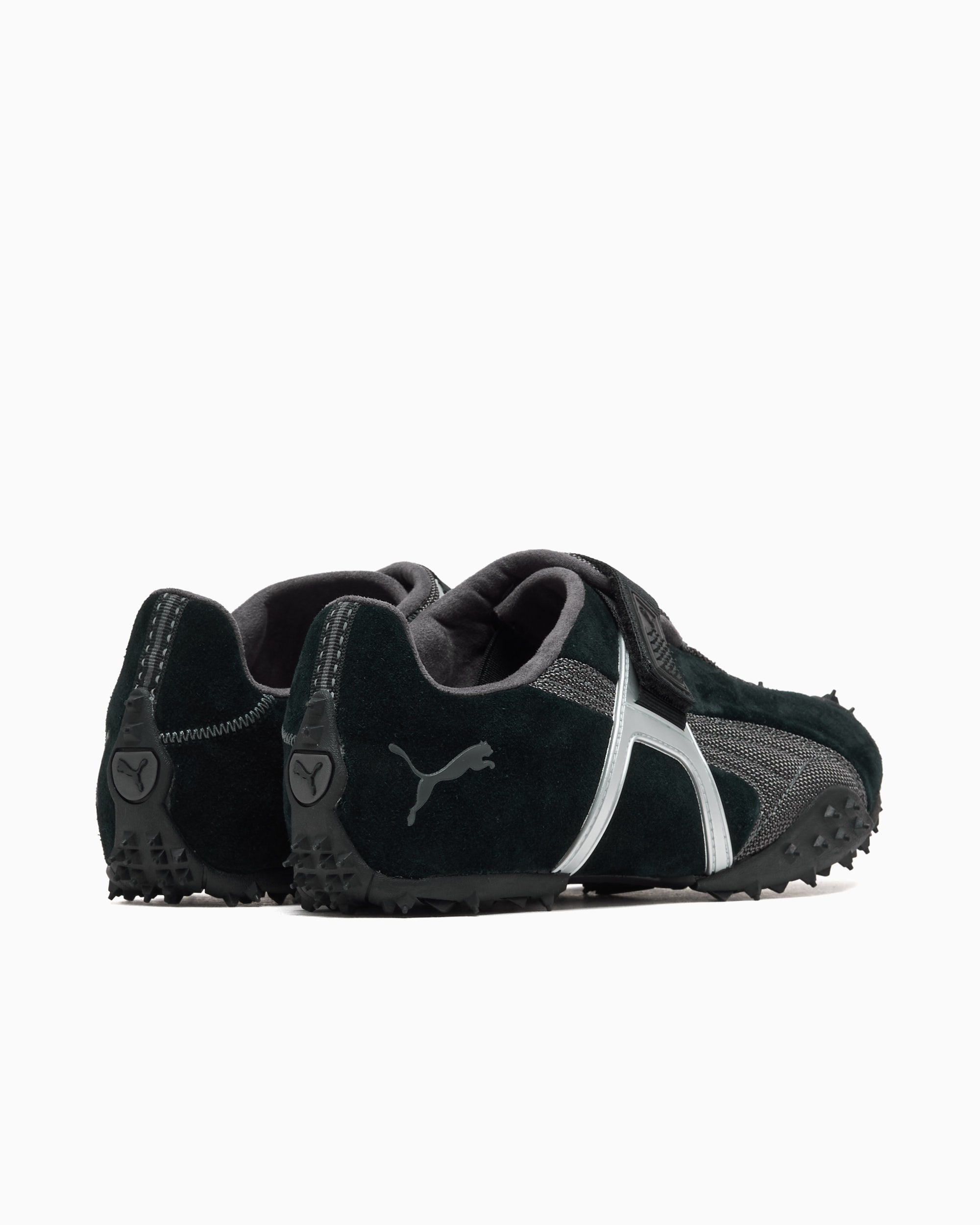 Puma RPT-2