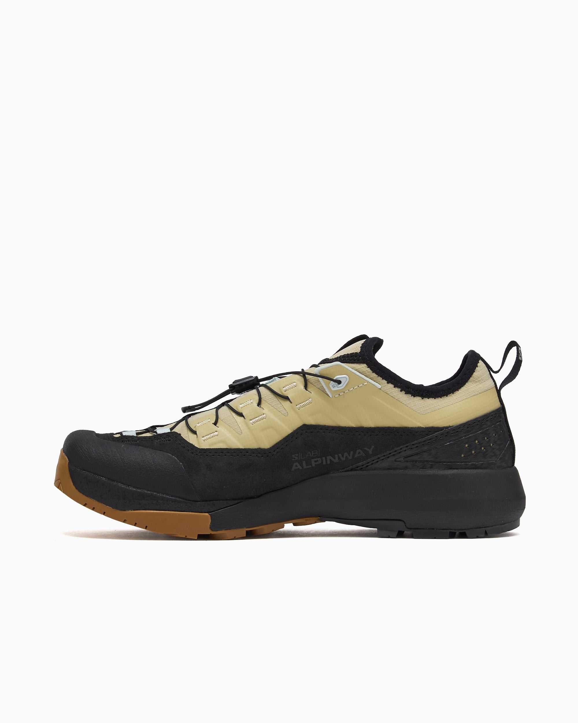 Salomon Advanced Alpinway