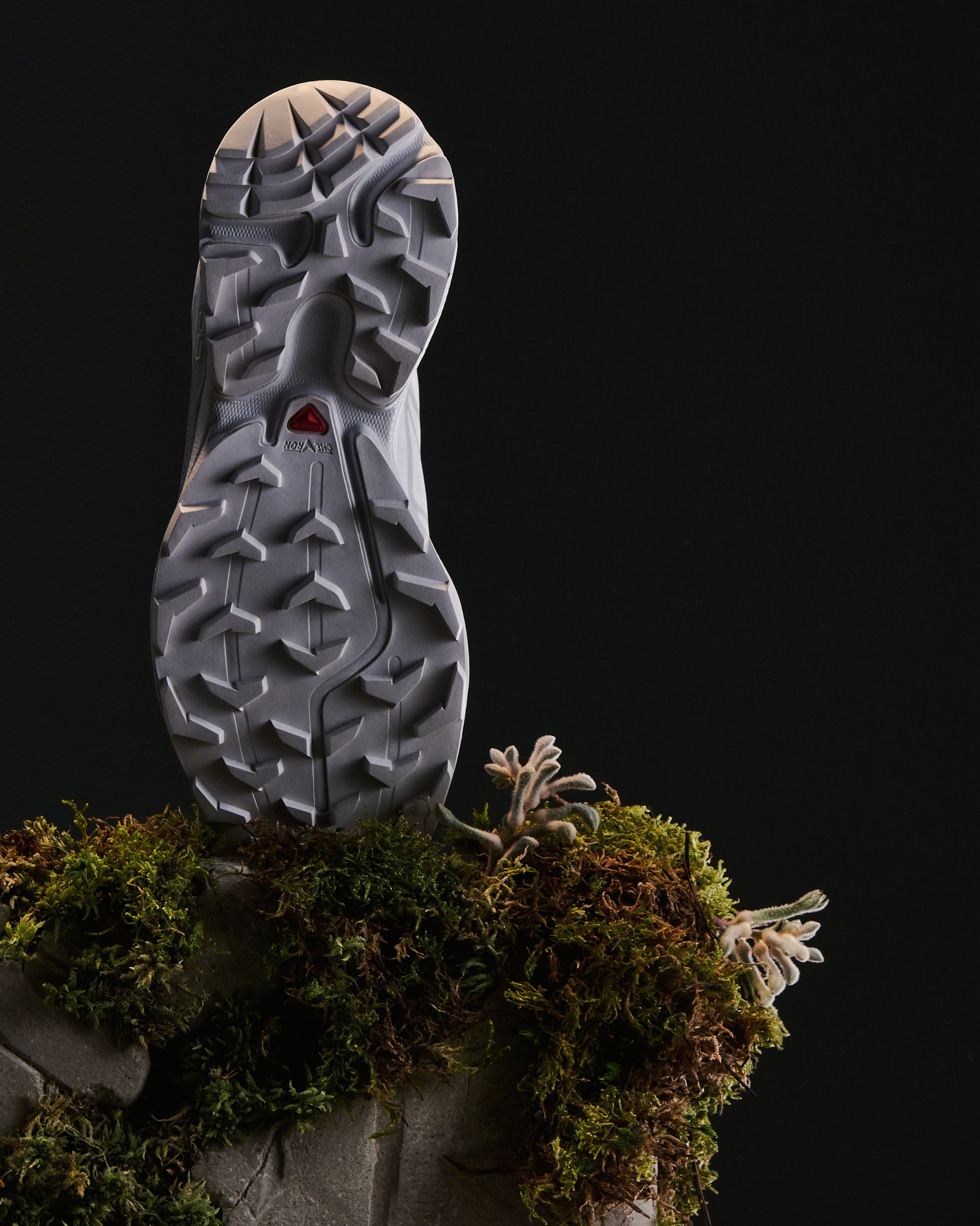 Salomon Advanced XT-6