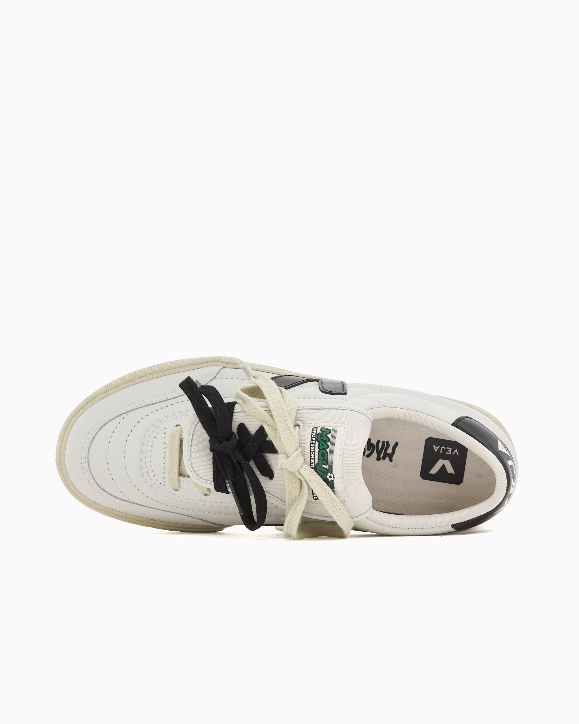 ＊P. Willinckii masayu TC＊ Veja x Magliano Women's Panenka